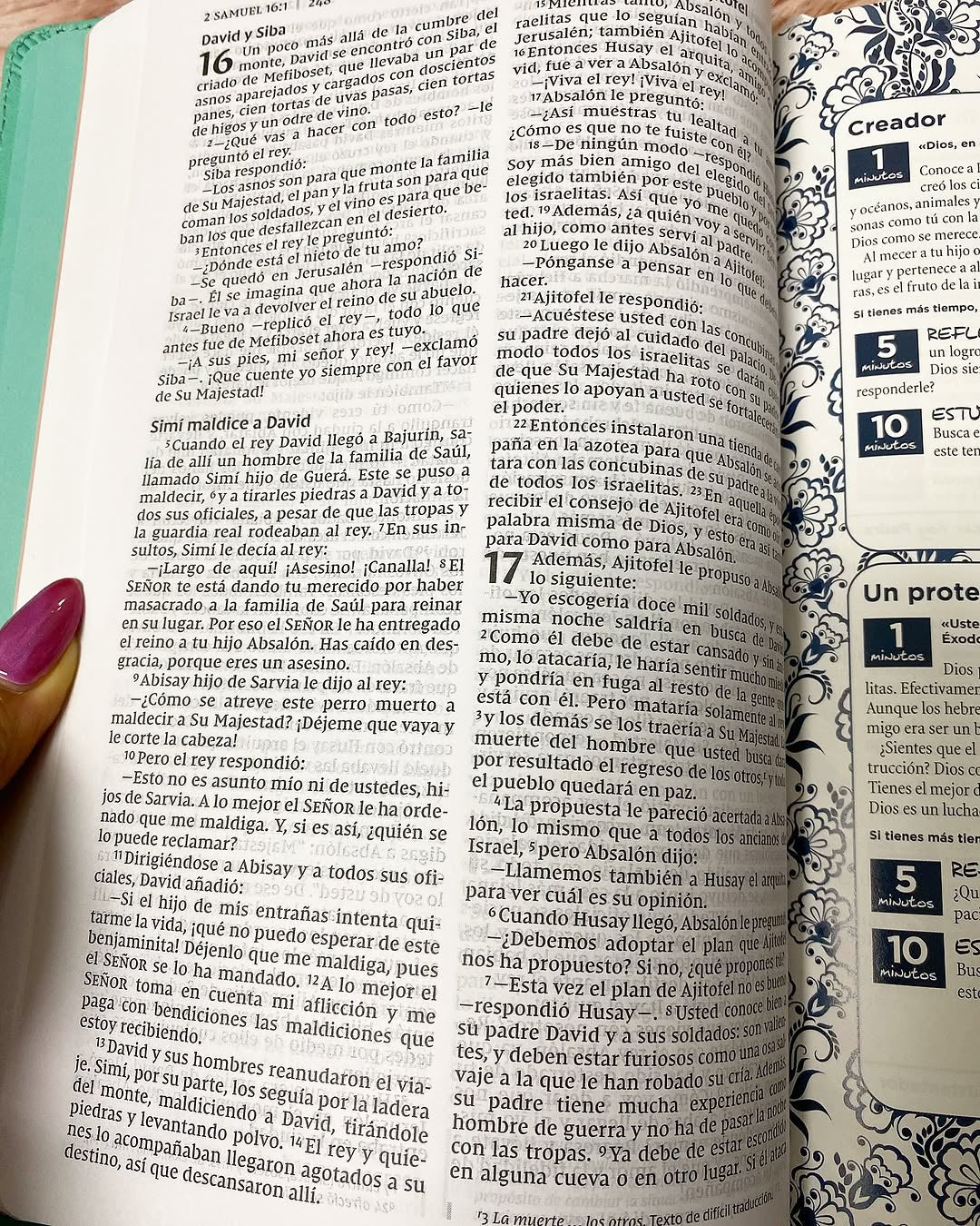 Biblia con devocional versión NVI símil piel canto plateado letra mediana