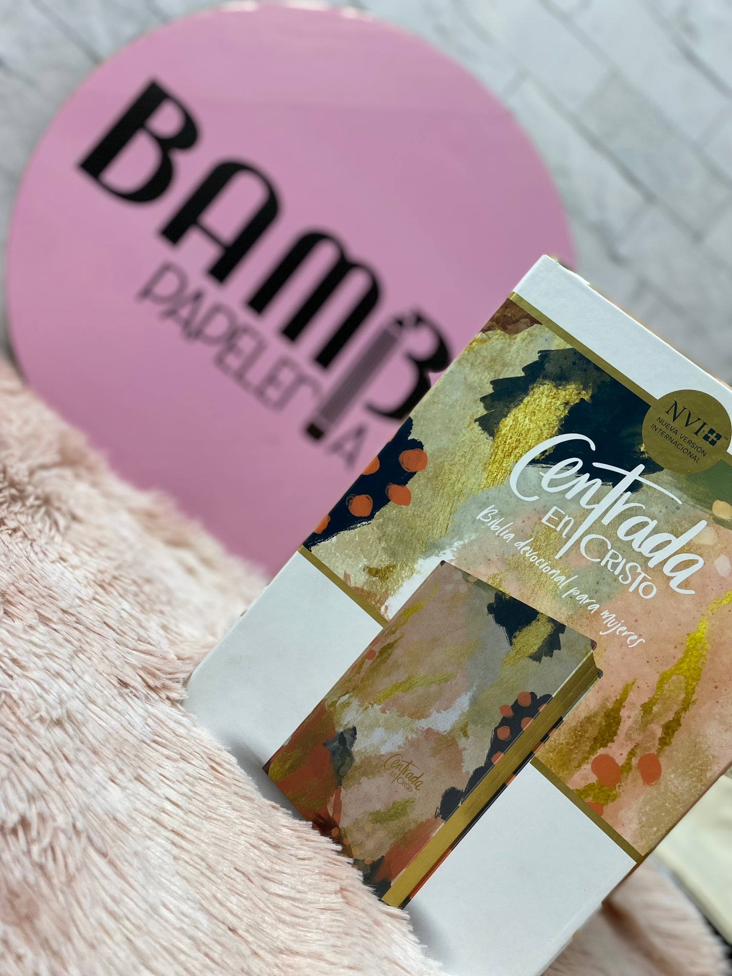 Biblias con devocionales