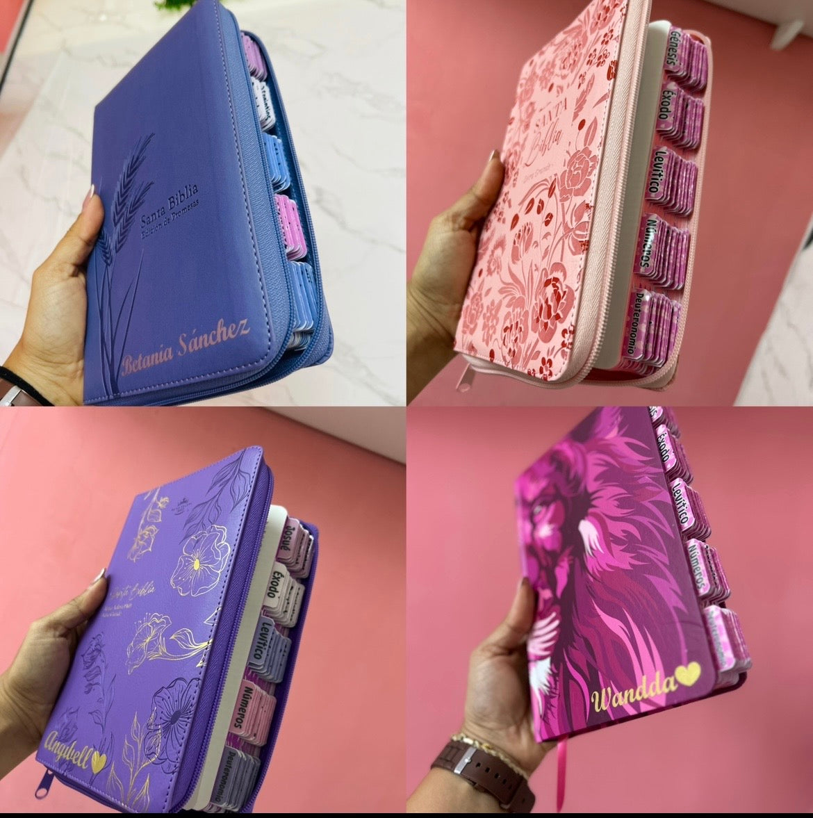 Biblia personalizada