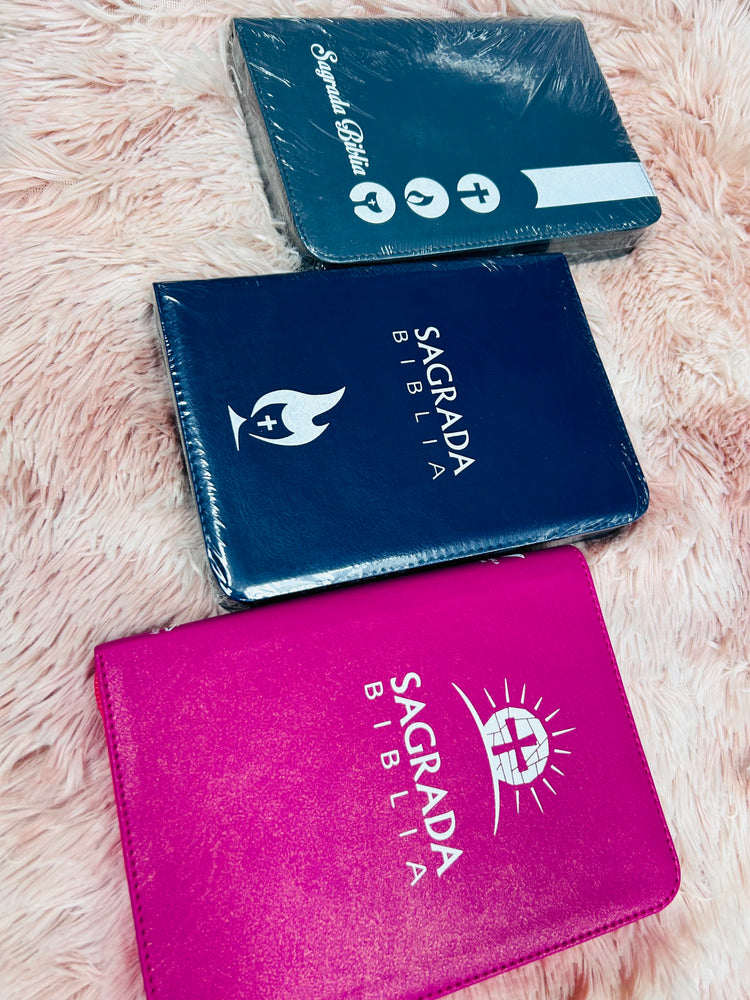 Biblias católicas