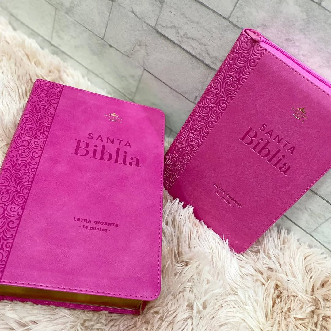 Biblias RV1960