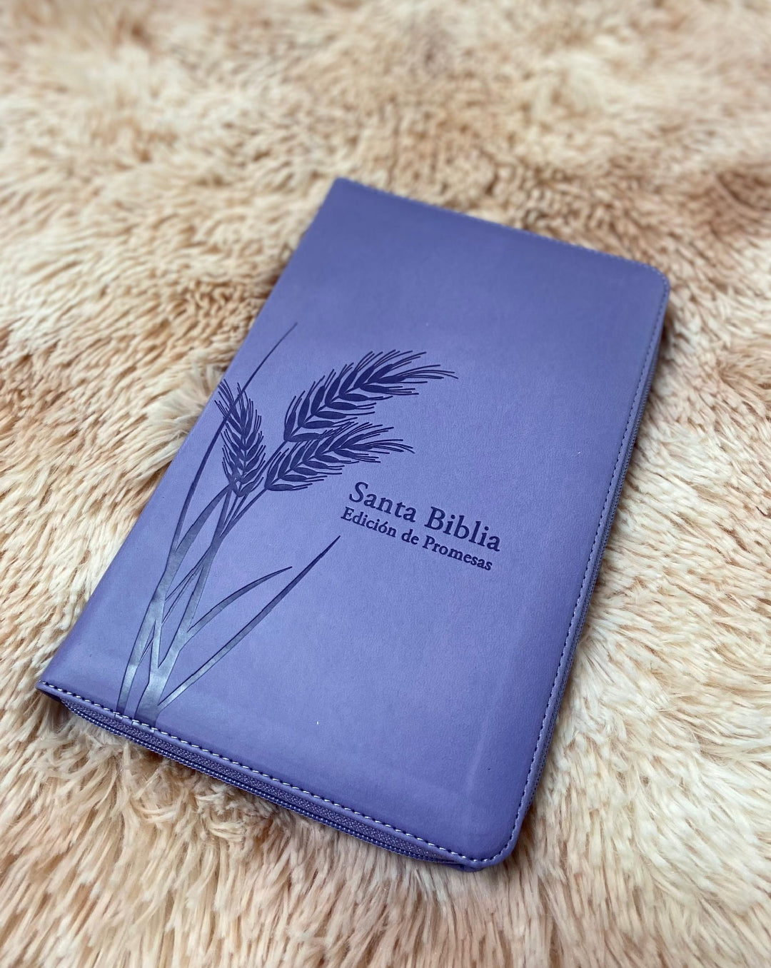 Biblias de promesas