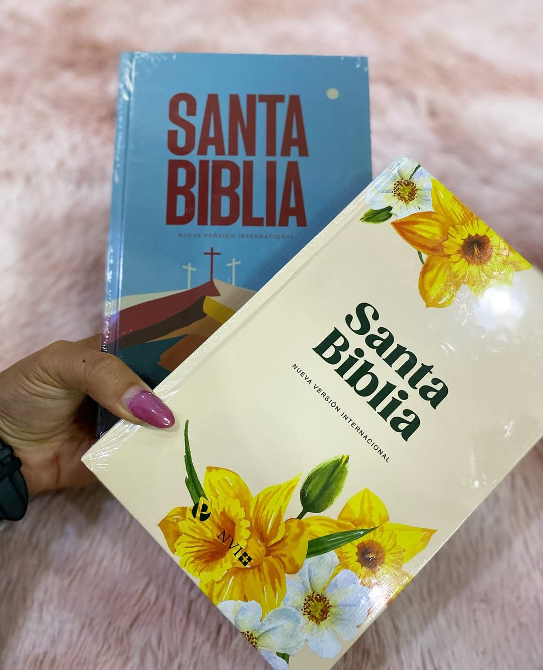 Biblias NVI