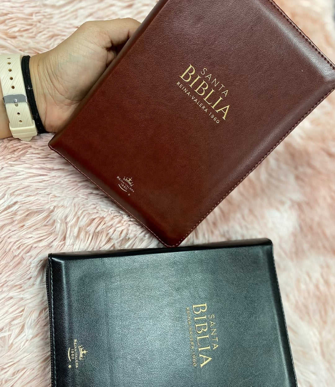 Biblias de Caballeros