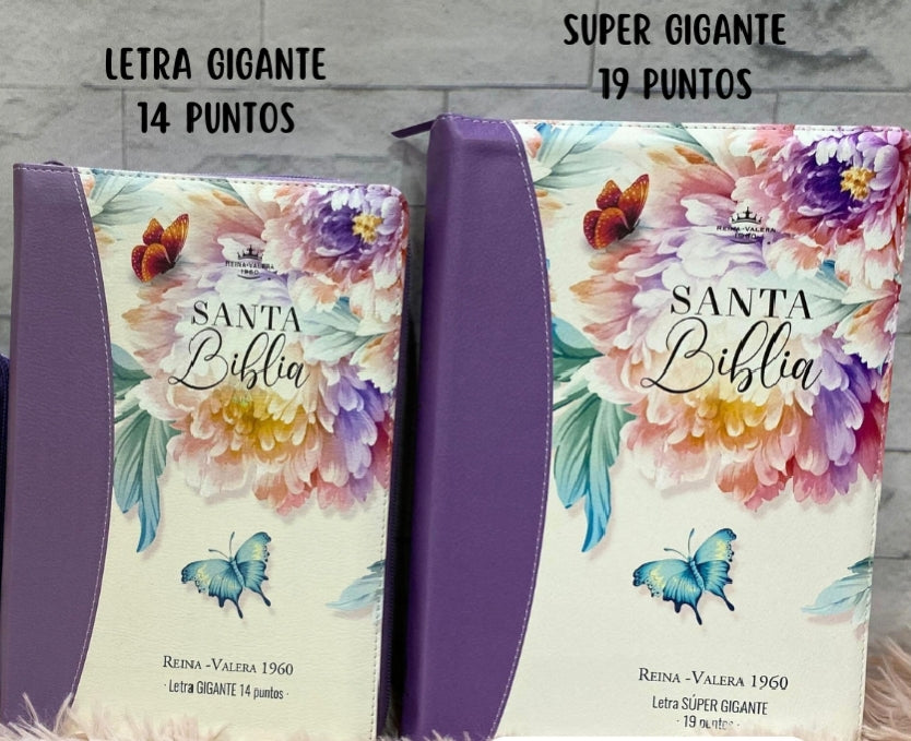 Biblias letra gigante