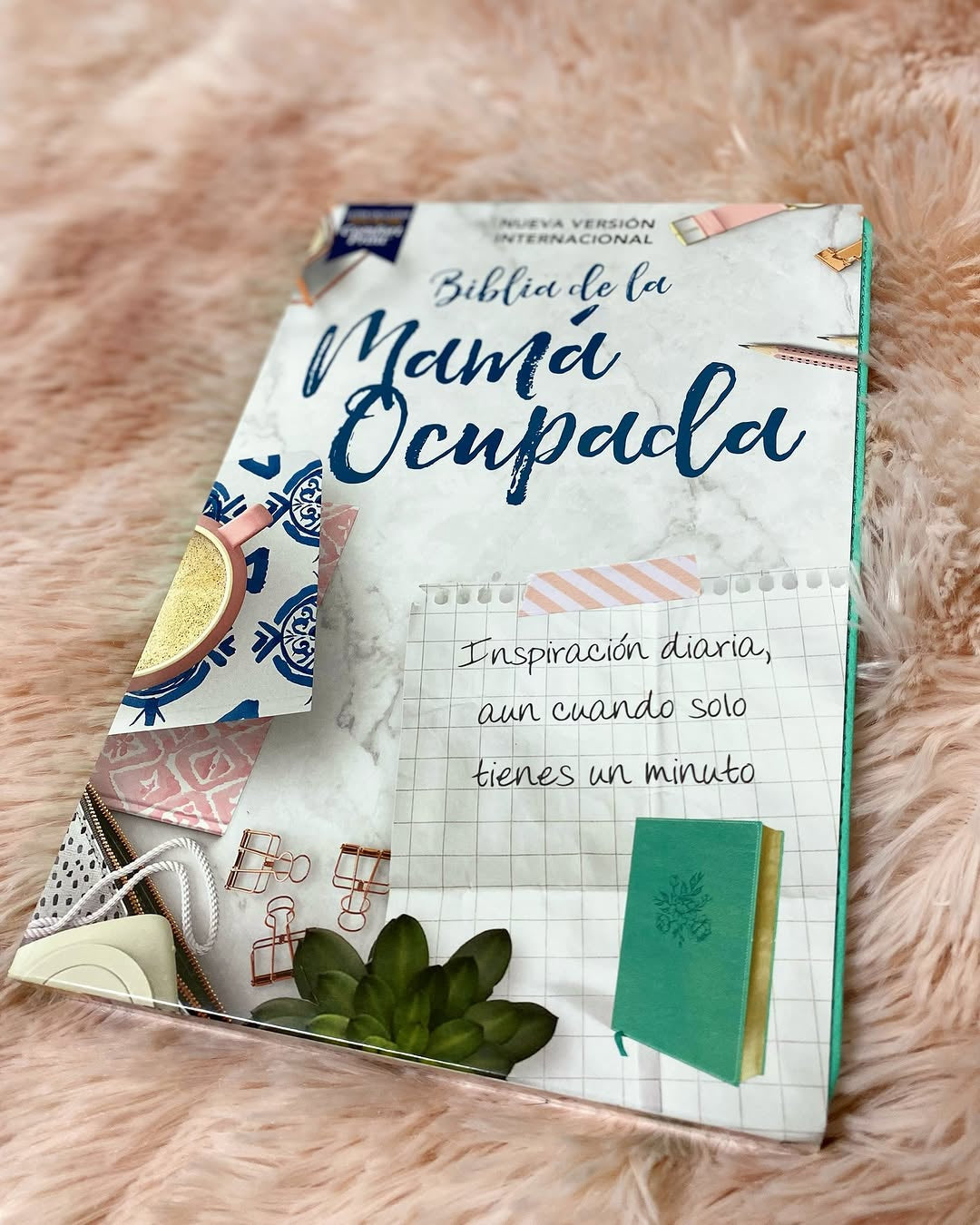 Biblias con devocional