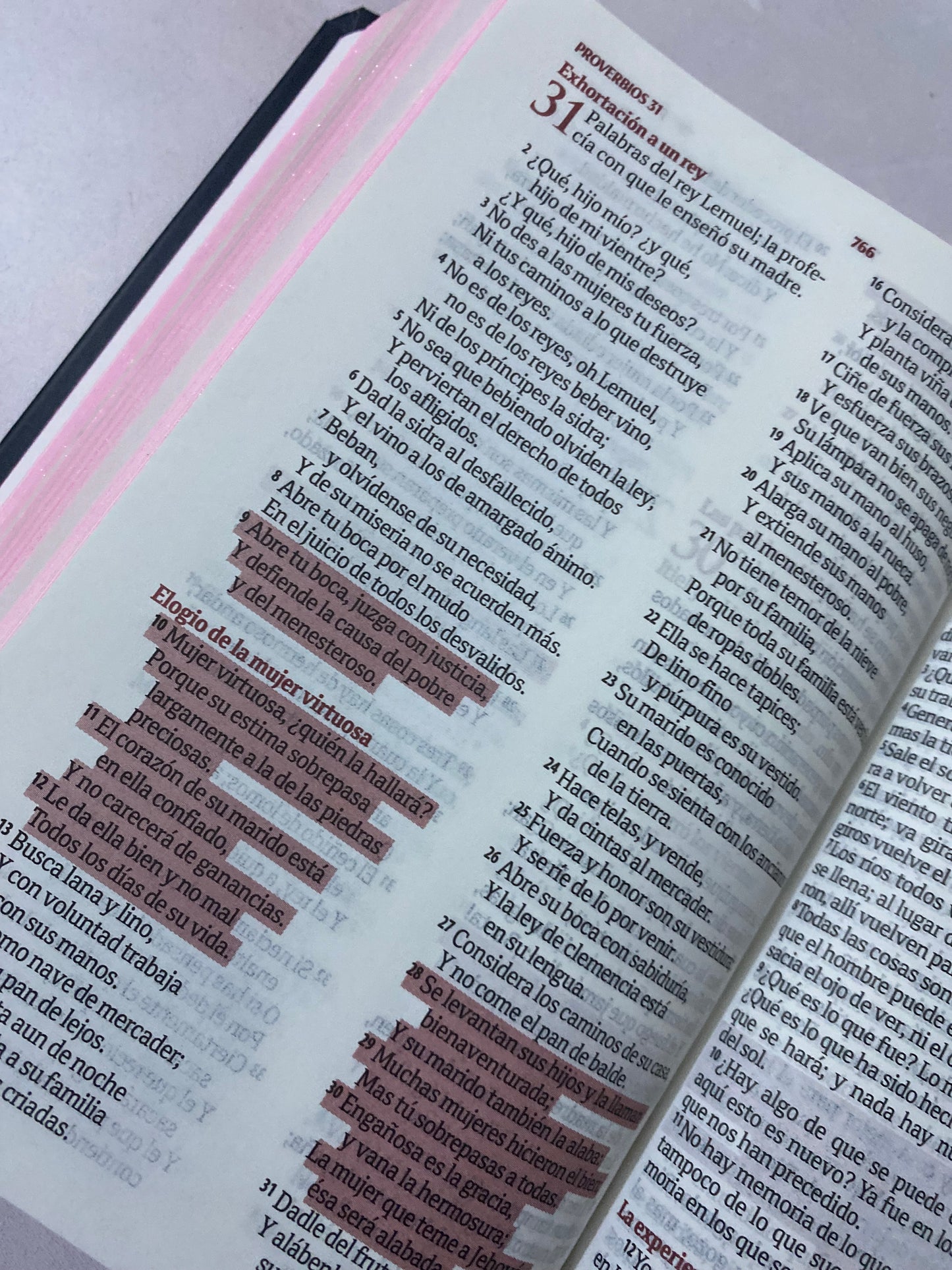 Biblia de promesas tapa dura versión RV1960 letra 8 puntos con concordancia y referencias