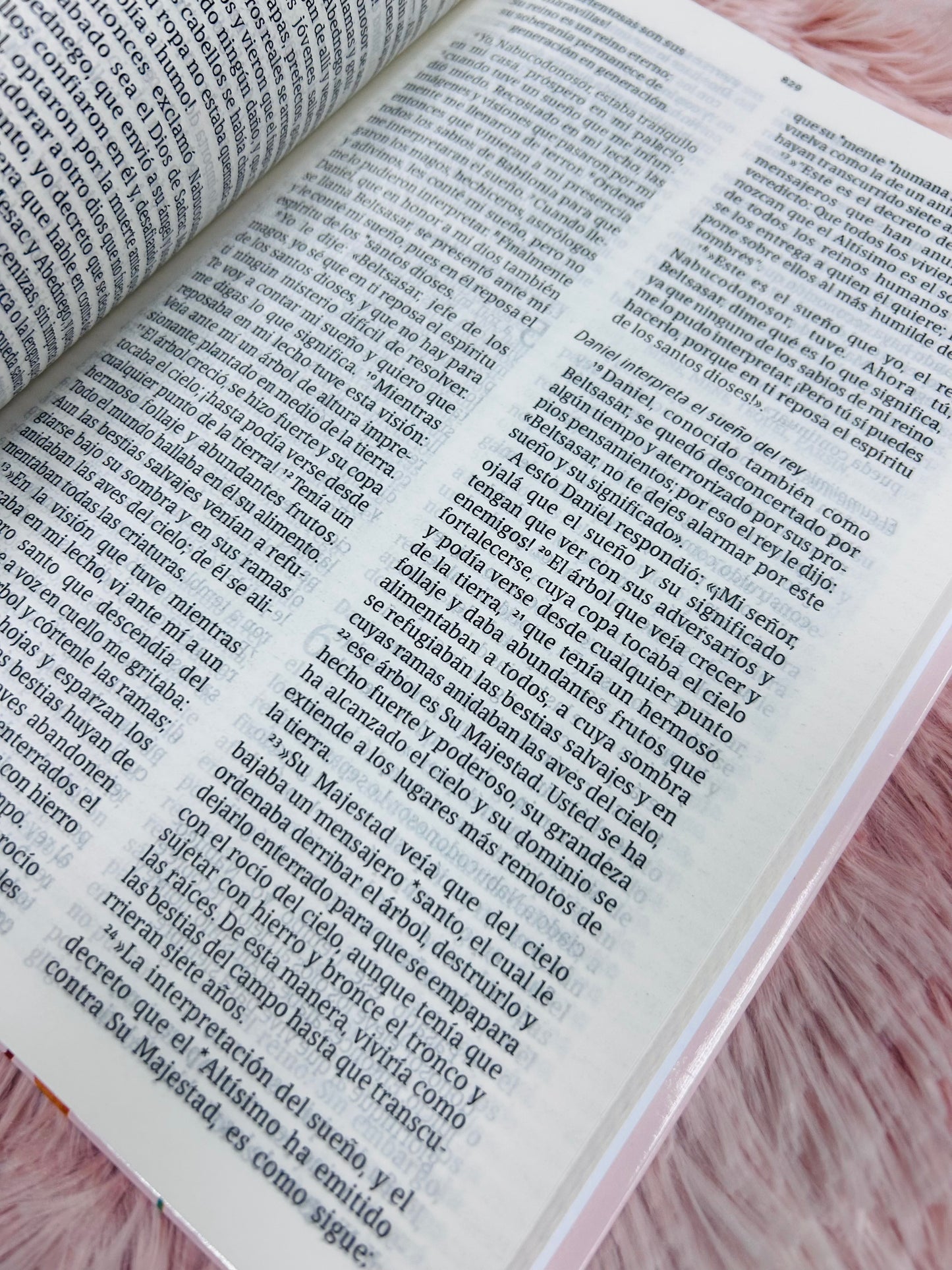 Biblia en tapa dura versión NVI letra mediana