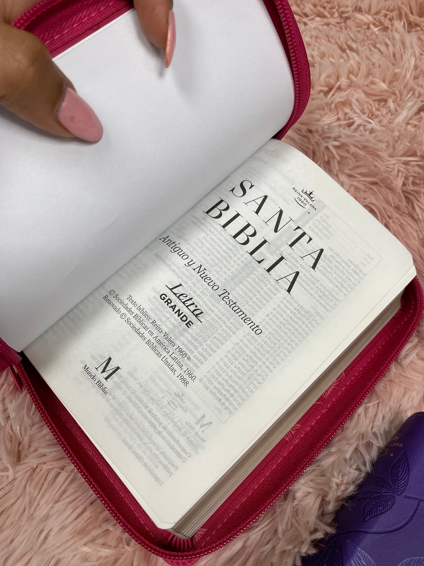 Biblia pequeña letra grande 10 puntos versión RV1960 con cierre canto dorado y concordancia