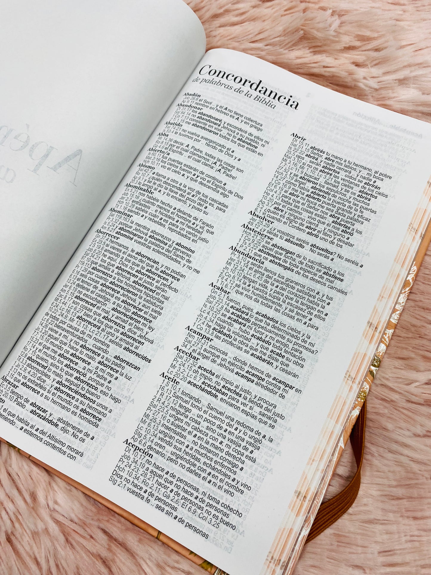 Biblia versión RV1960 de tapa dura diseño en relieve de letra grande 12 puntos con canto pintado, liga, palabras de Jesús en rojo con concordancia
