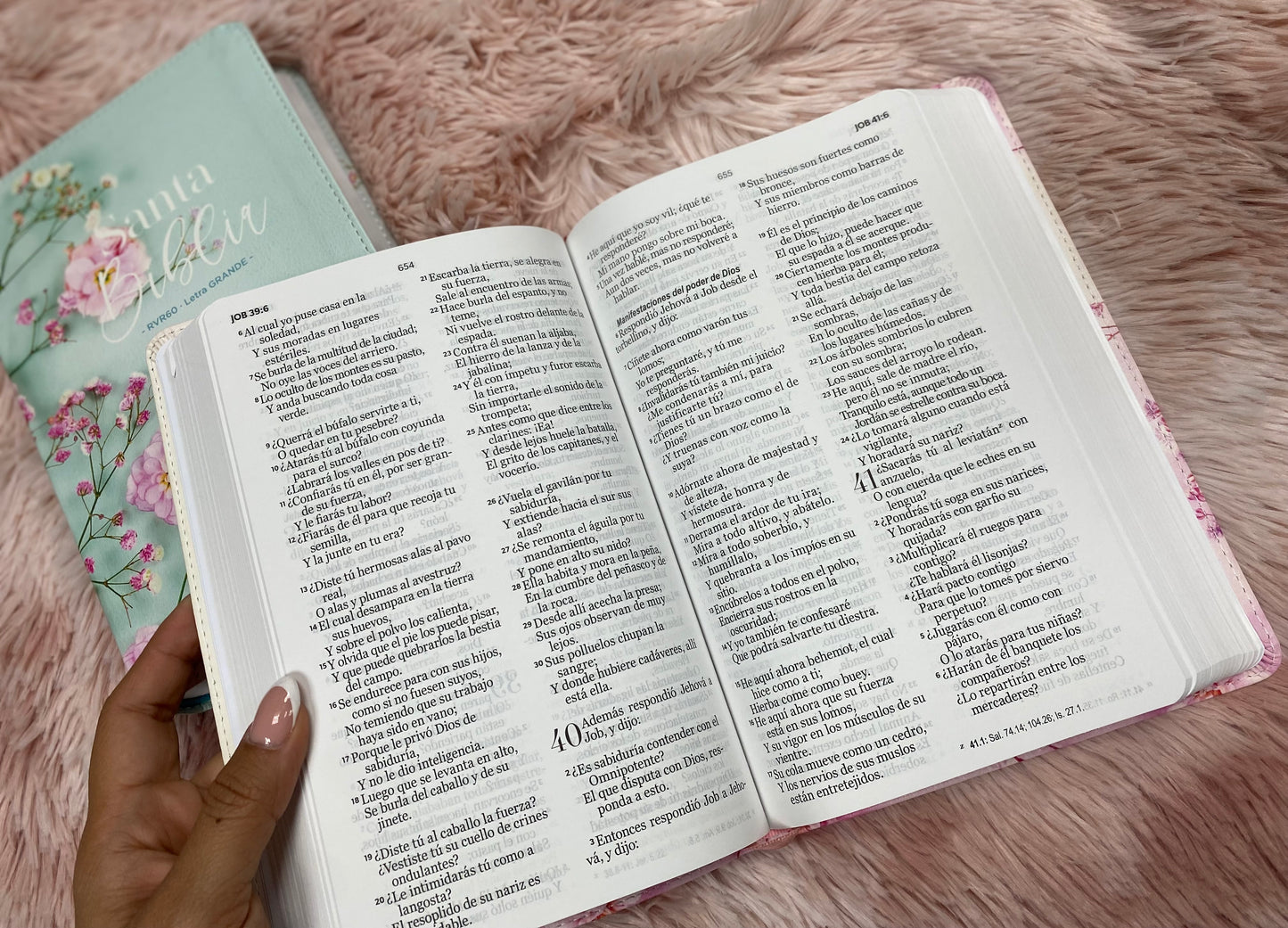 Biblia letra grande 12 puntos tapa flexible versión RV1960 con concordancia