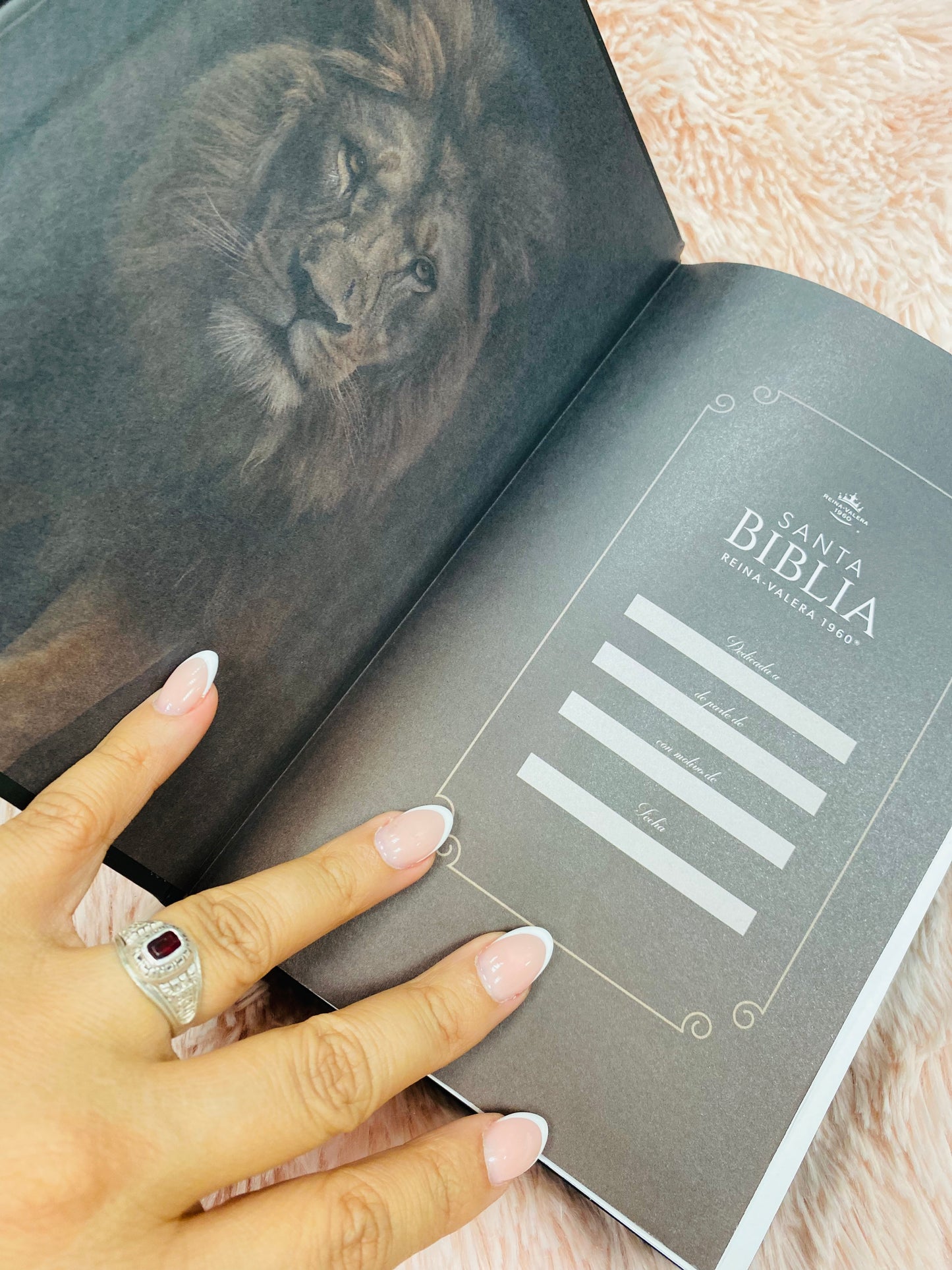 Biblia versión RV1960 de tapa dura diseño en relieve de letra grande 12 puntos con canto pintado, liga, palabras de Jesús en rojo con concordancia