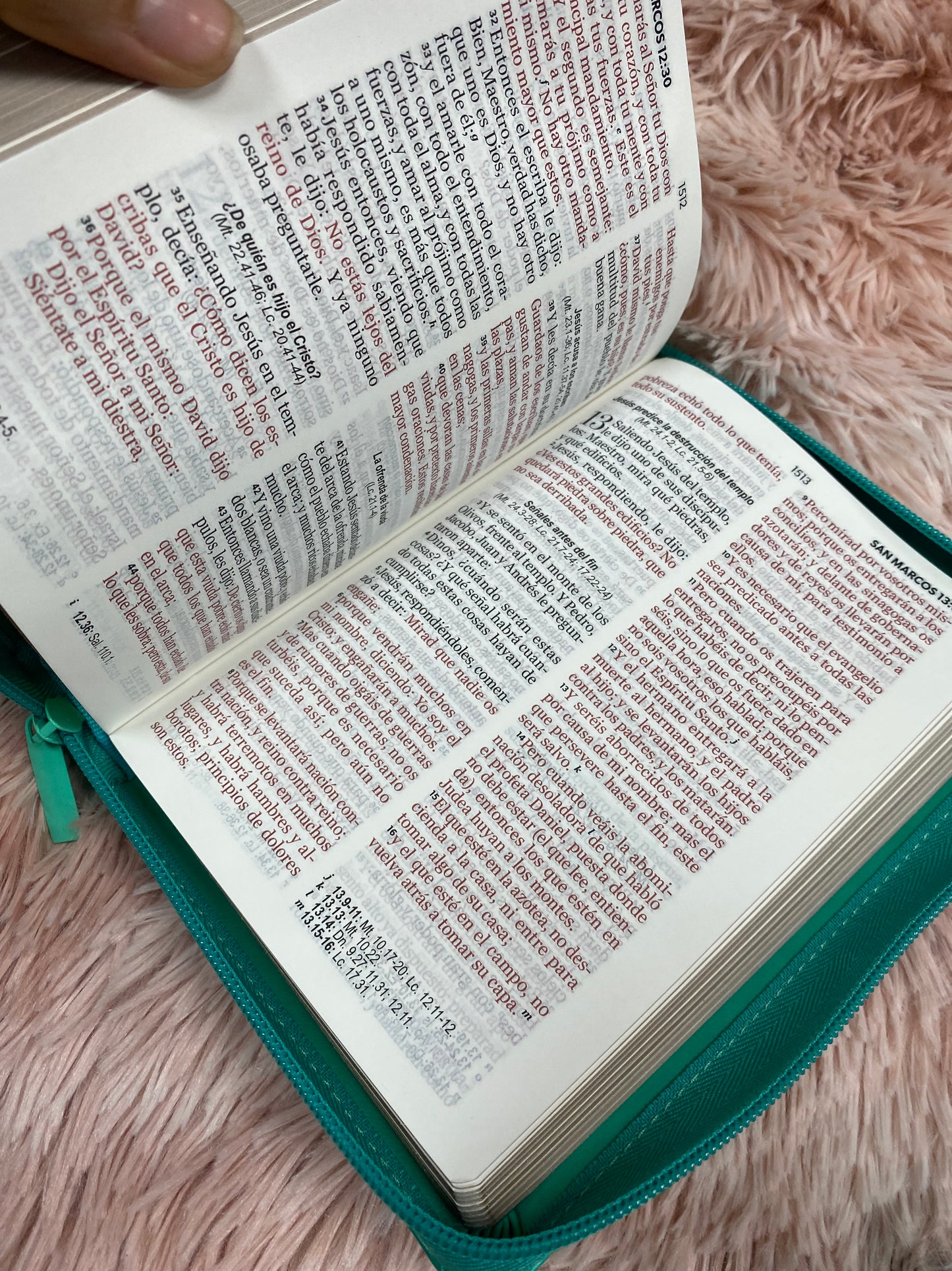 Biblia pequeña de letra grande 11 puntos con canto dorado y cierre versión RV1960 con concordancia