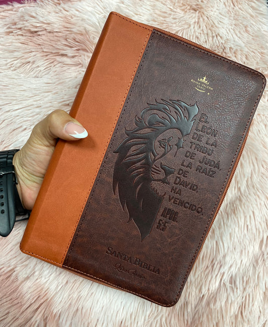 Biblia símil piel letra gigante 14 puntos con cierre y canto dorado versión RV1960 y concordancia