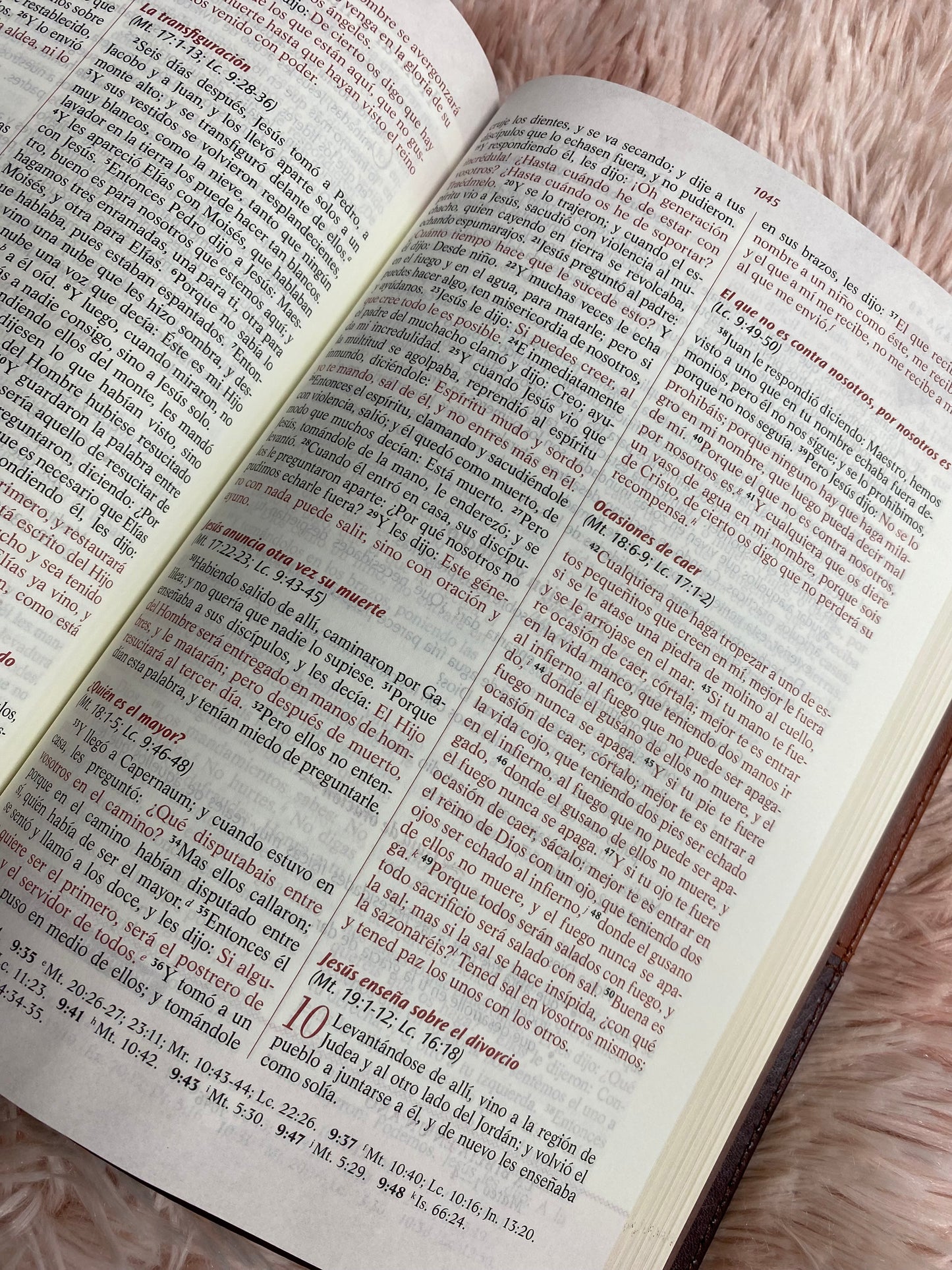 Biblia devocional los lenguajes del amor de Gary Chapman versión RV1960