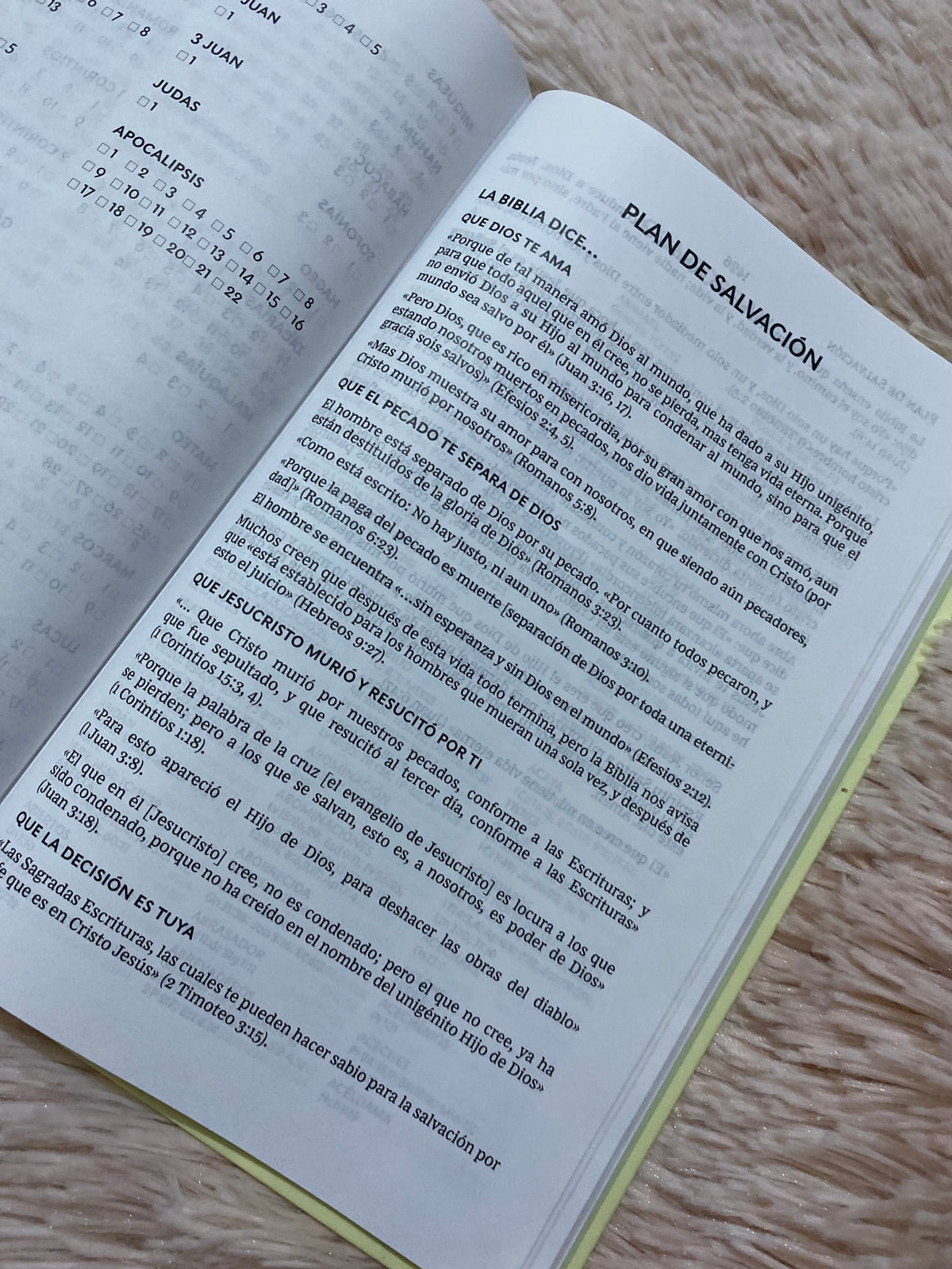 Biblia tapa dura letra grande versión RV1960 con concordancia papel blanco
