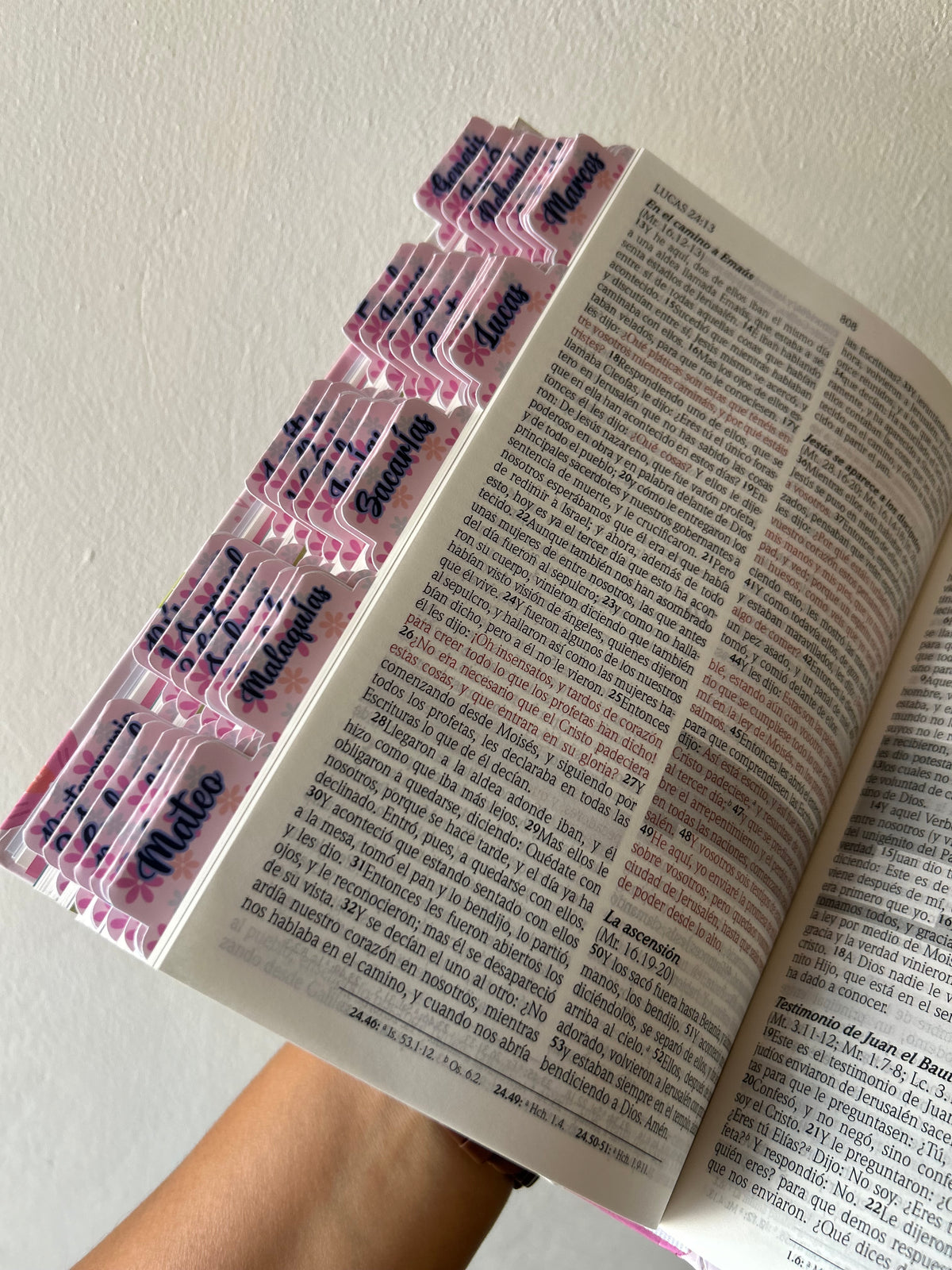 Biblia de promesas para niñas RV1960 tapa dura + personalizado