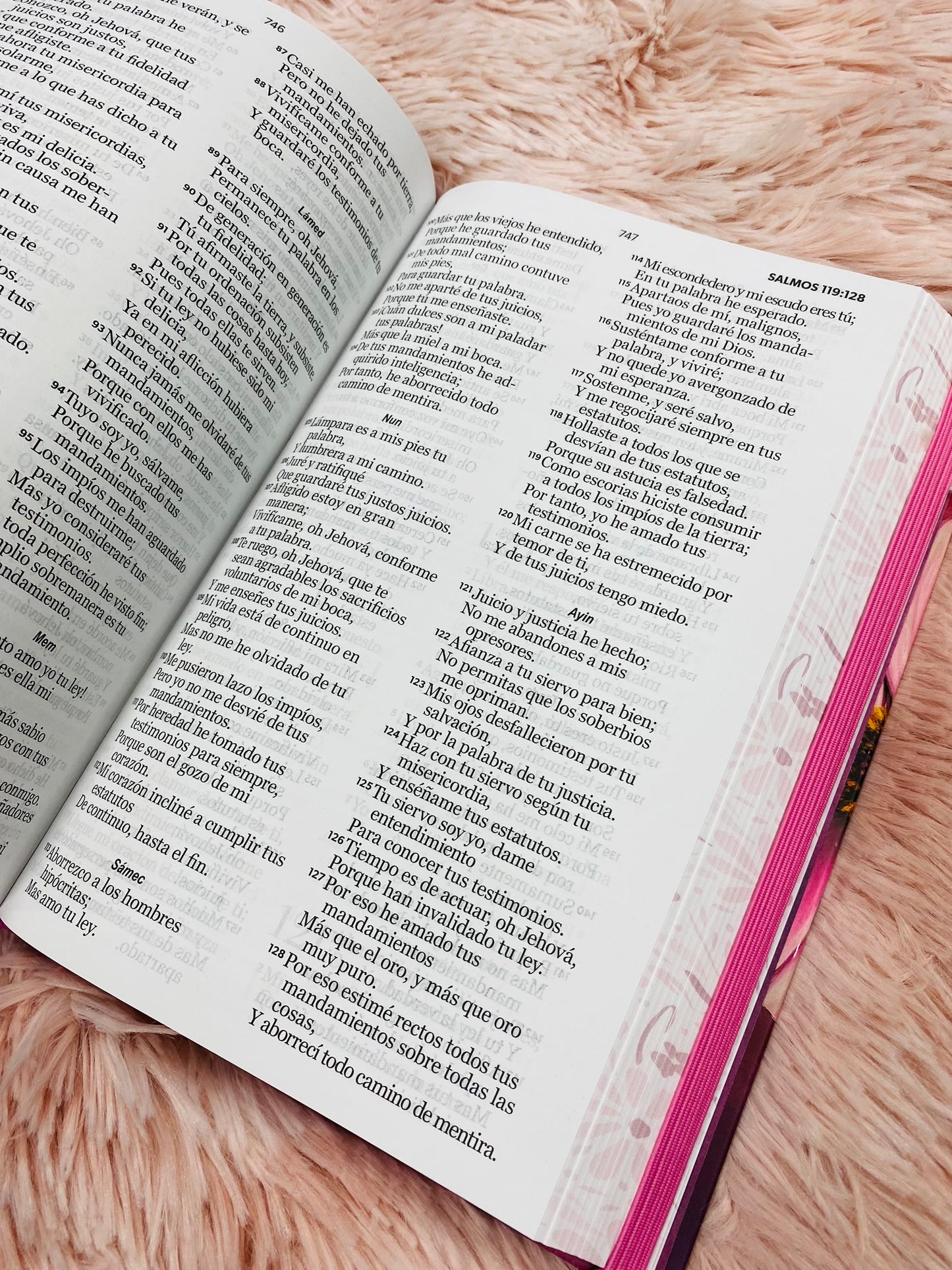 Biblia versión RV1960 de tapa dura diseño en relieve de letra grande 12 puntos con canto pintado, liga, palabras de Jesús en rojo con concordancia