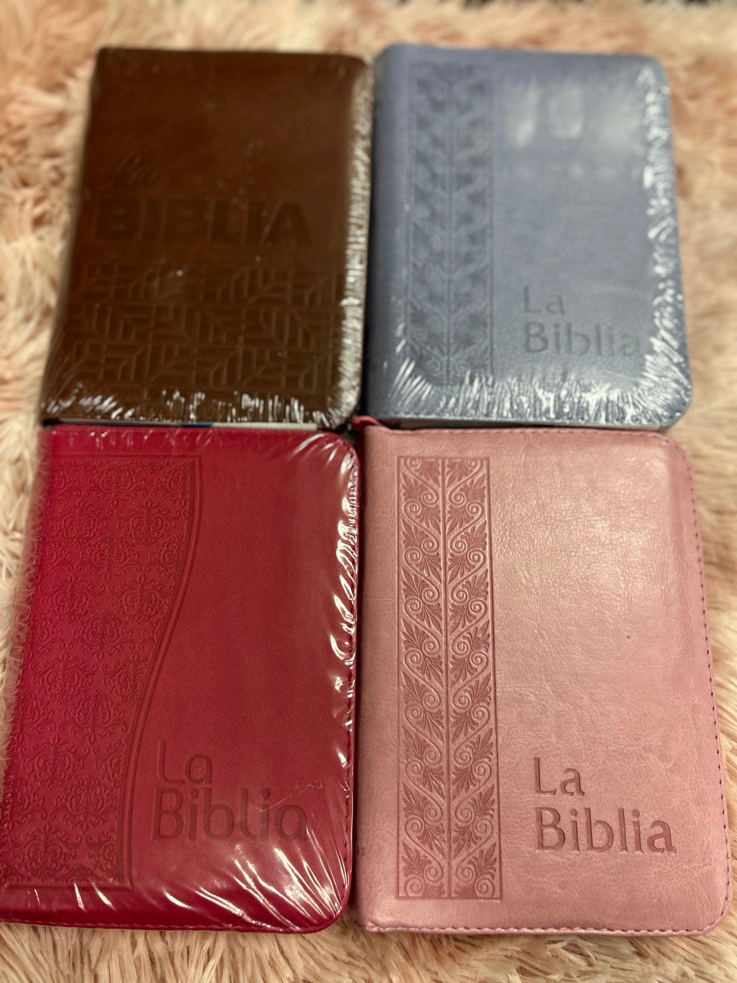 Biblia mediana tamaño compacta con cierre versión TLA letras grandes canto pintado