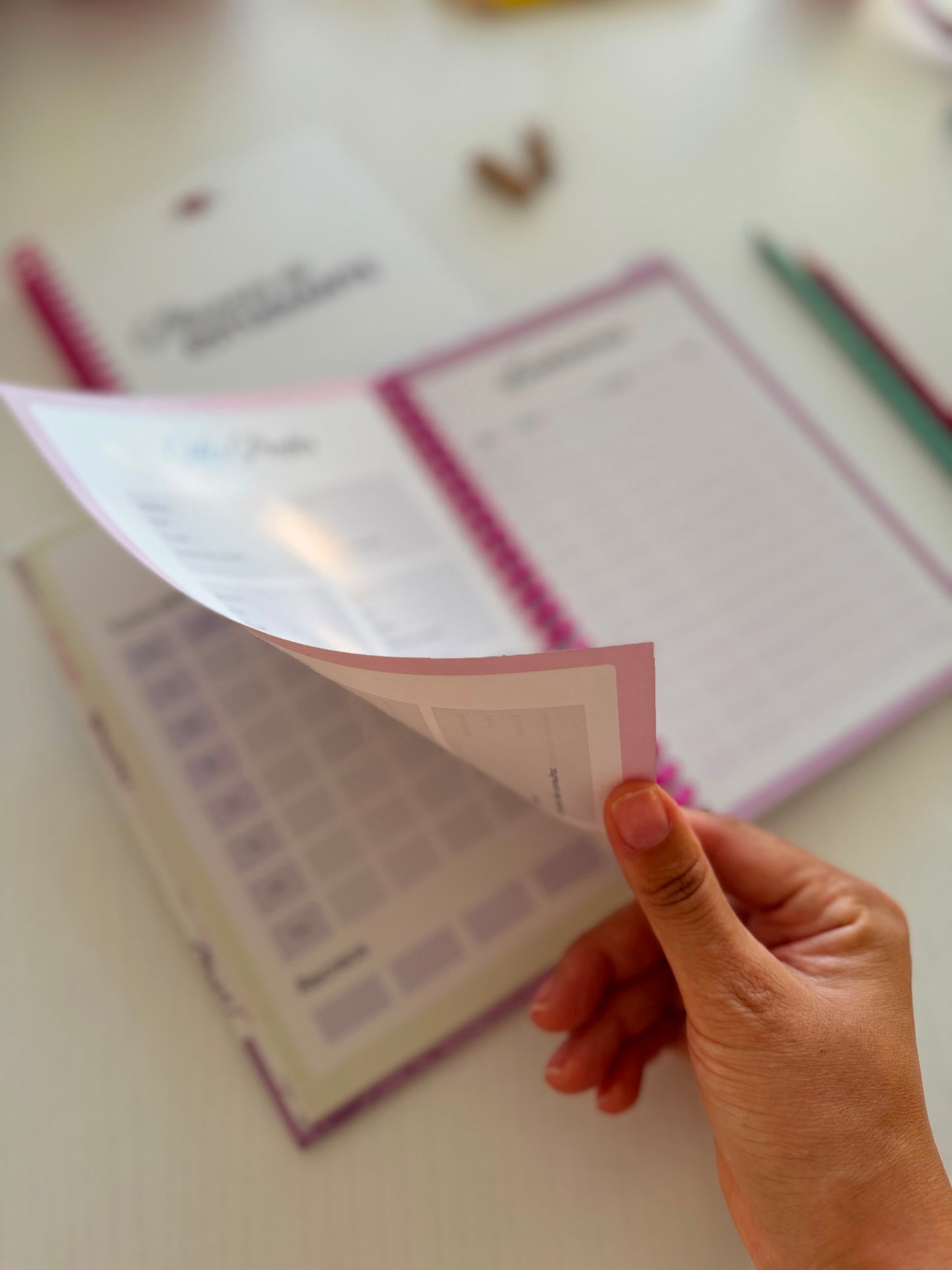 Planner de estudiante con espiral hojas resistentes cartulina brillante de la marca PaoPi