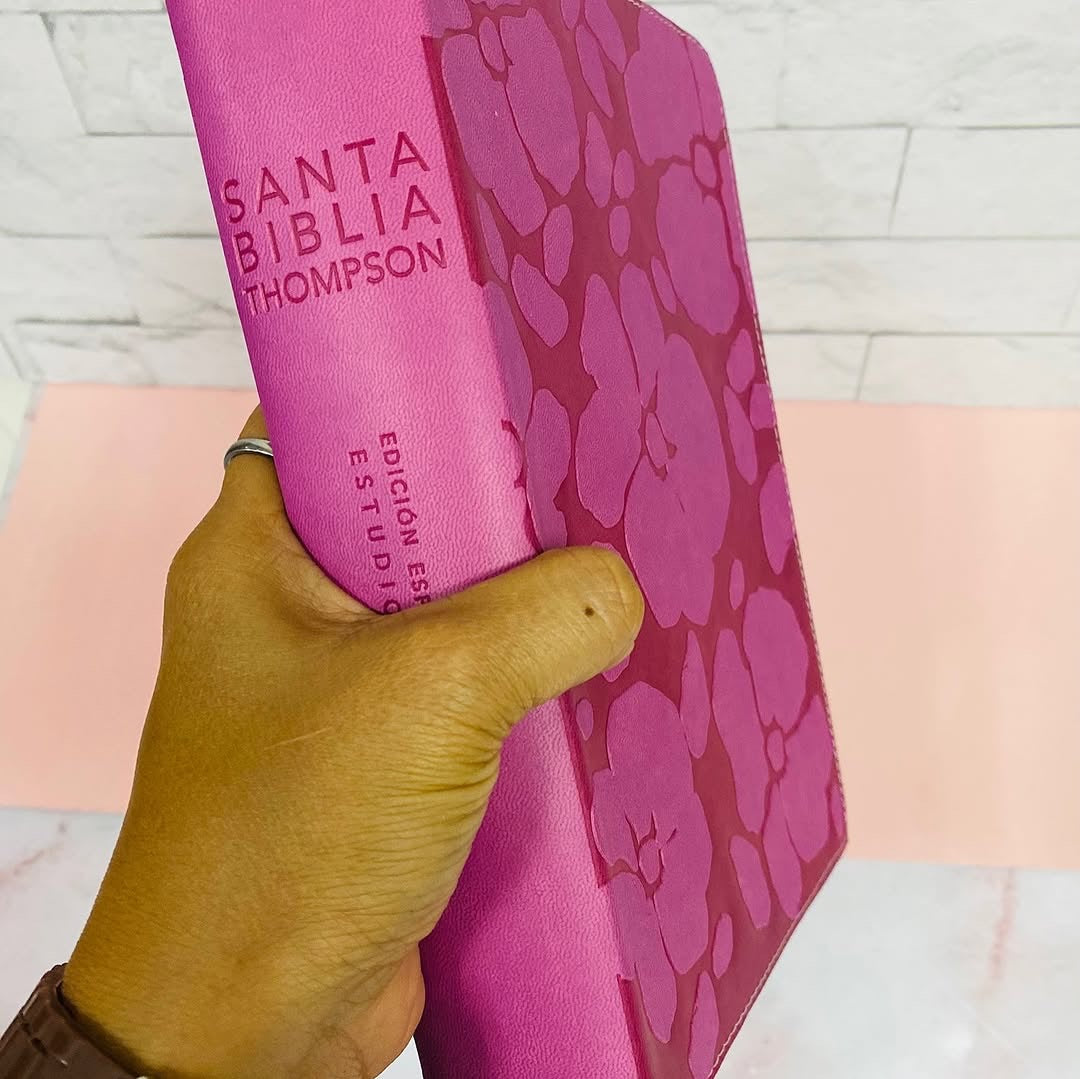 Biblia de estudio Thompson edición especial símil piel y canto plateado