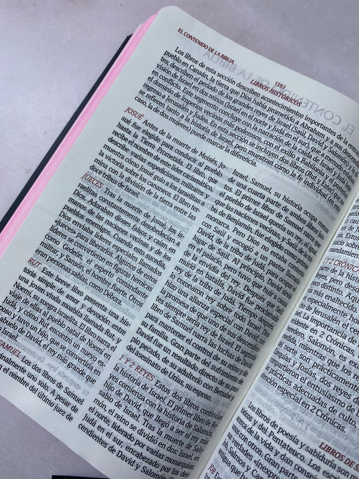 Biblia de promesas tapa dura versión RV1960 letra 8 puntos con concordancia y referencias
