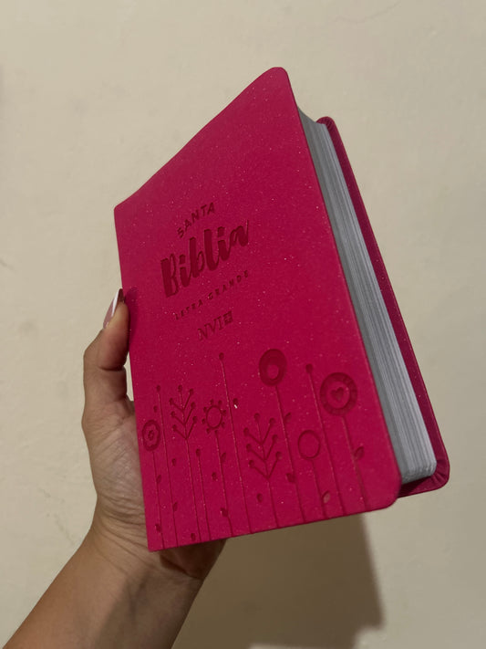 Biblia letra grande tamaño compacto versión NVI canto plateado palabras de Jesús en rojo