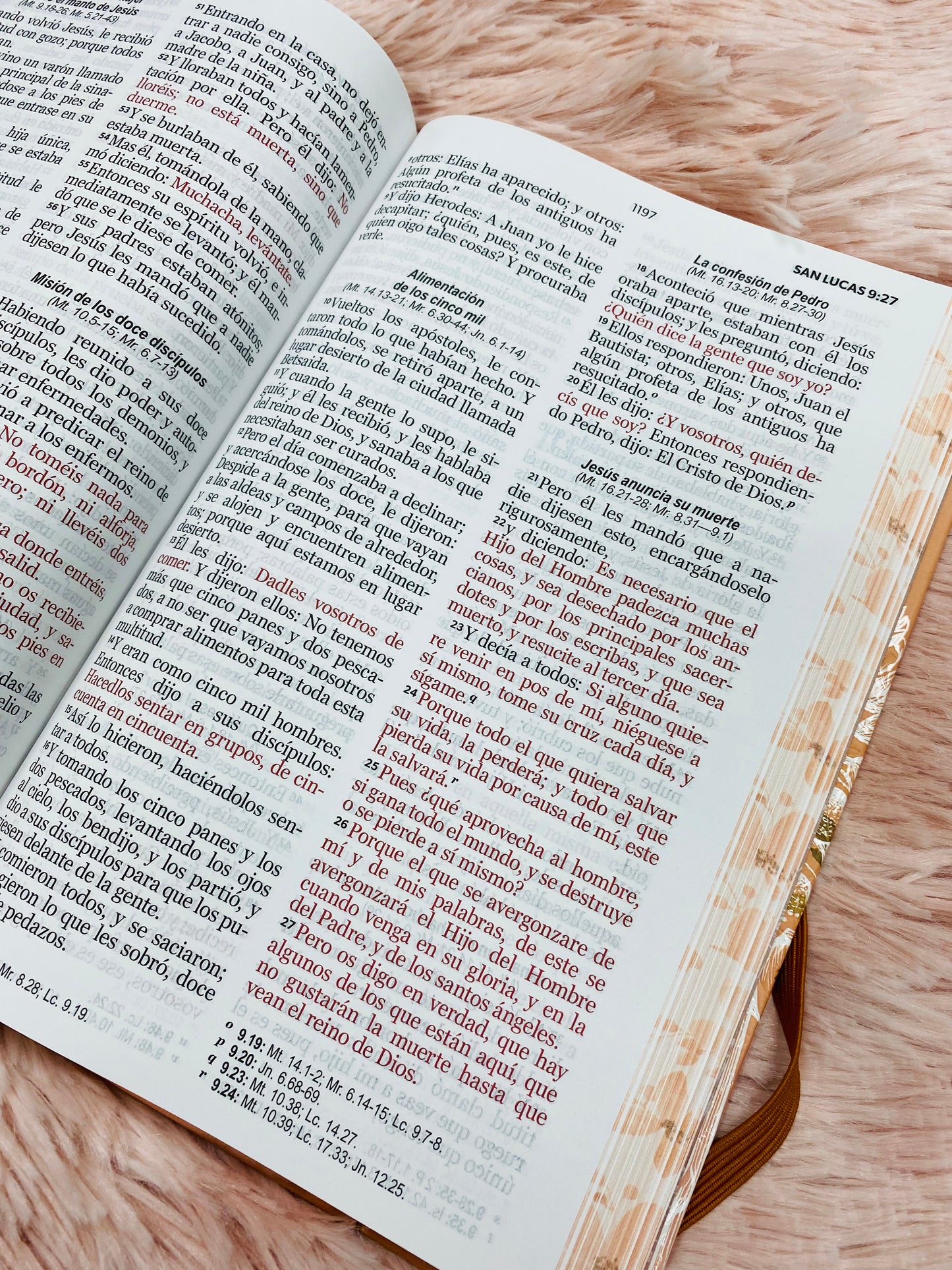 Biblia versión RV1960 de tapa dura diseño en relieve de letra grande 12 puntos con canto pintado, liga, palabras de Jesús en rojo con concordancia