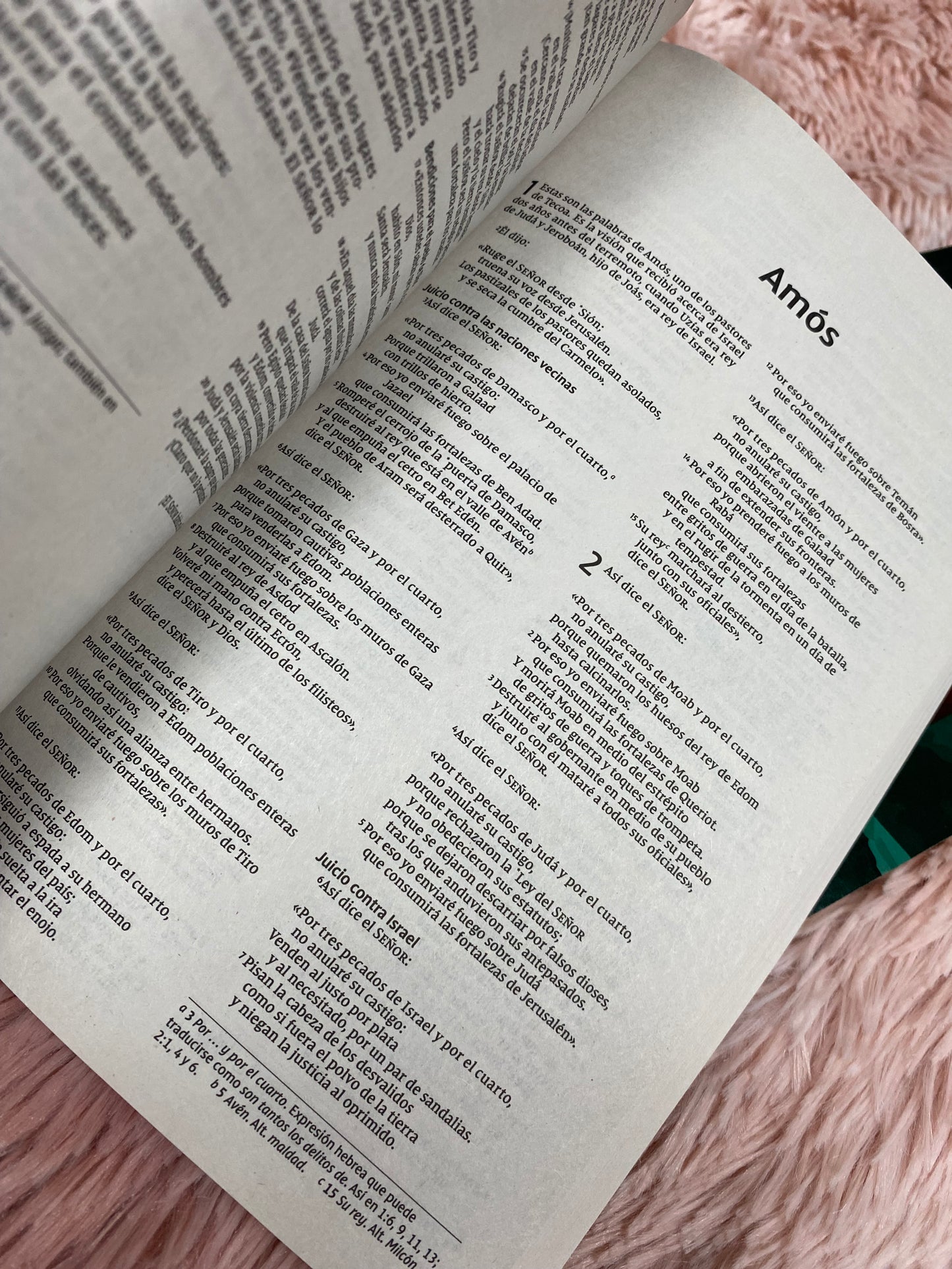 Biblias económicas tapa rústica papel imprenta versión NVI