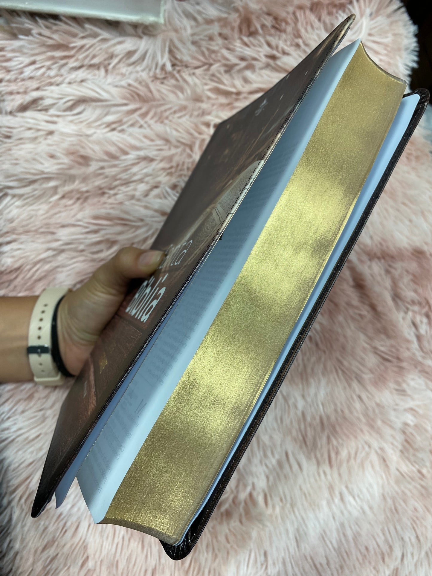 Biblia letra gigante de 15 puntos en tapa flexible con canto dorado versión RV1960