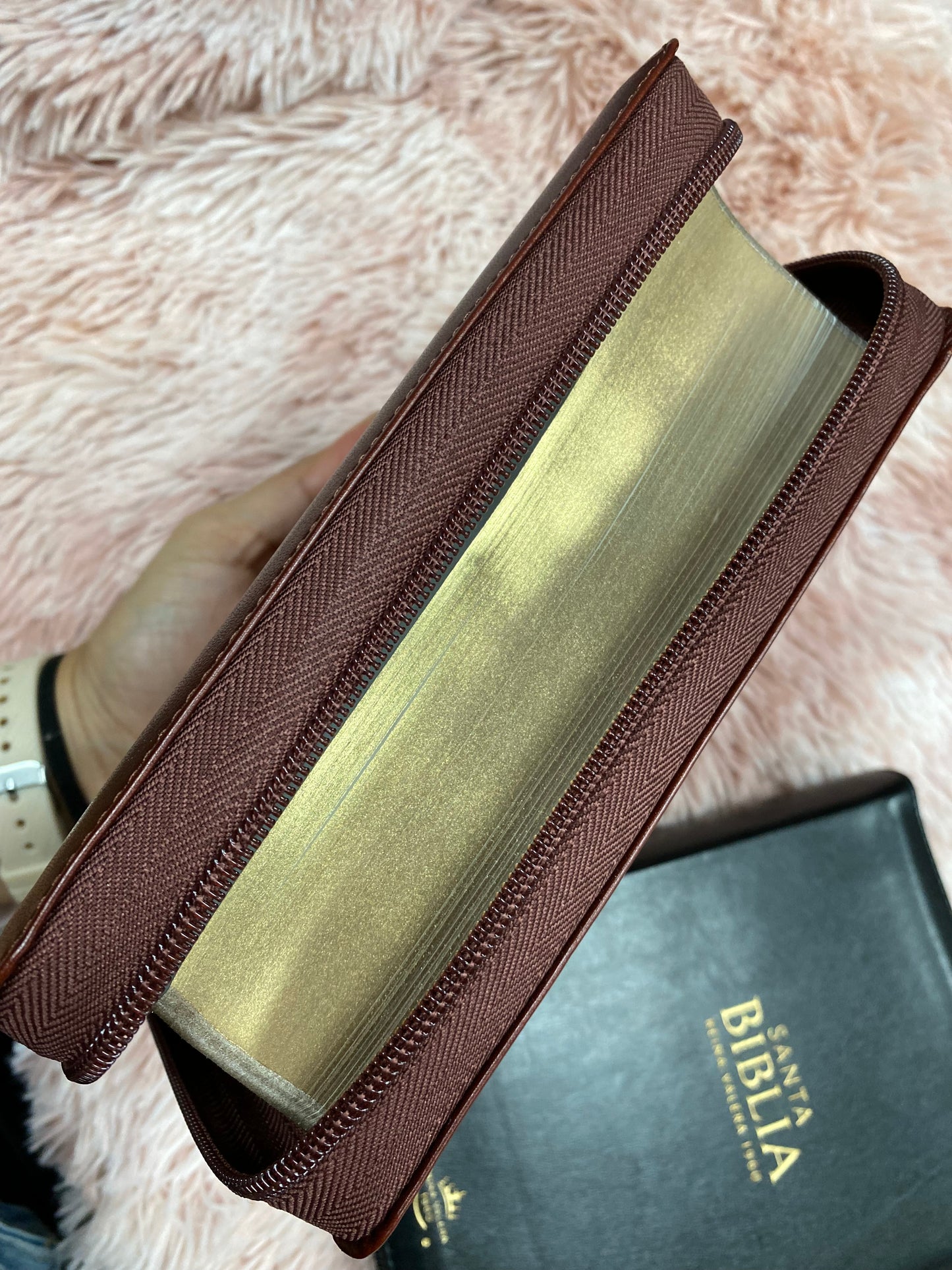 Biblia pequeña letra grande de 11 puntos con cierre y canto dorado versión RV1960 con concordancia