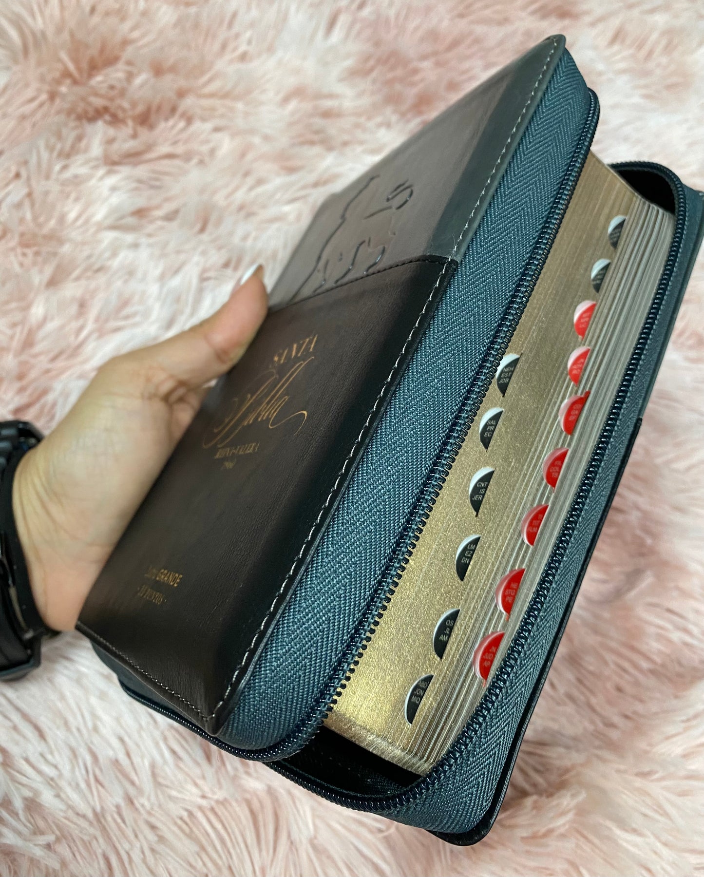 Biblia mediana de letra grande 11 puntos con cierre e índice versión RV1960 canto dorado palabras de Jesús en rojo y concordancia