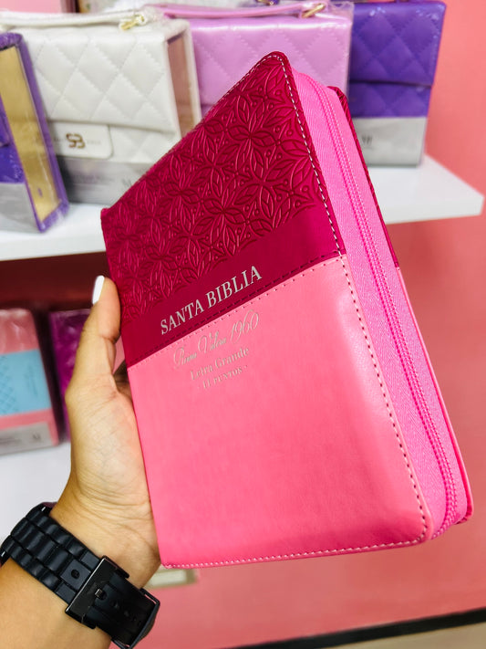 Biblia letra grande de 11 puntos con cierre e índice en símil piel canto dorado palabras de Jesús en rojo y concordancia versión RV1960