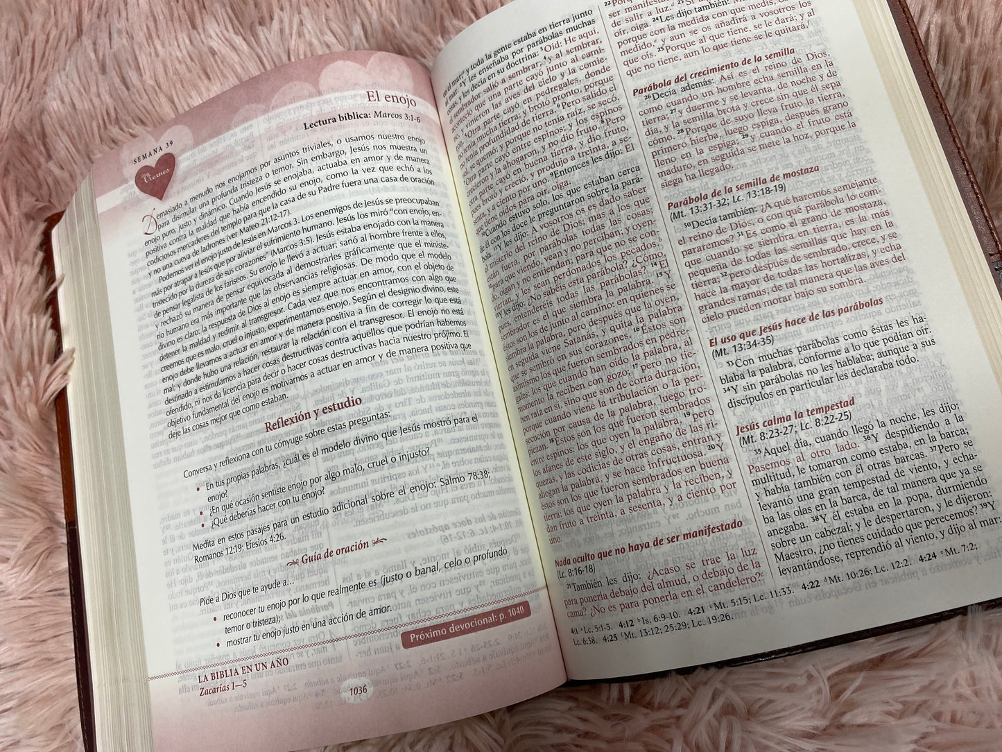 Biblia devocional los lenguajes del amor de Gary Chapman versión RV1960