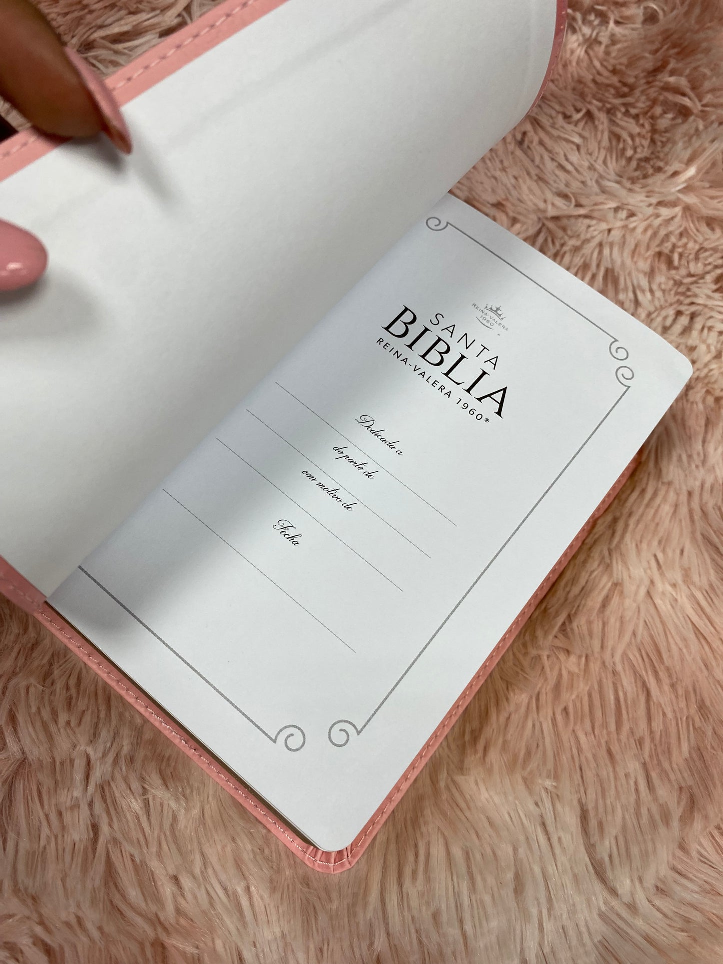 Biblia pequeña de letras grandes 12 puntos versión RV1960 canto dorado tapa flexible simil piel con concordancia