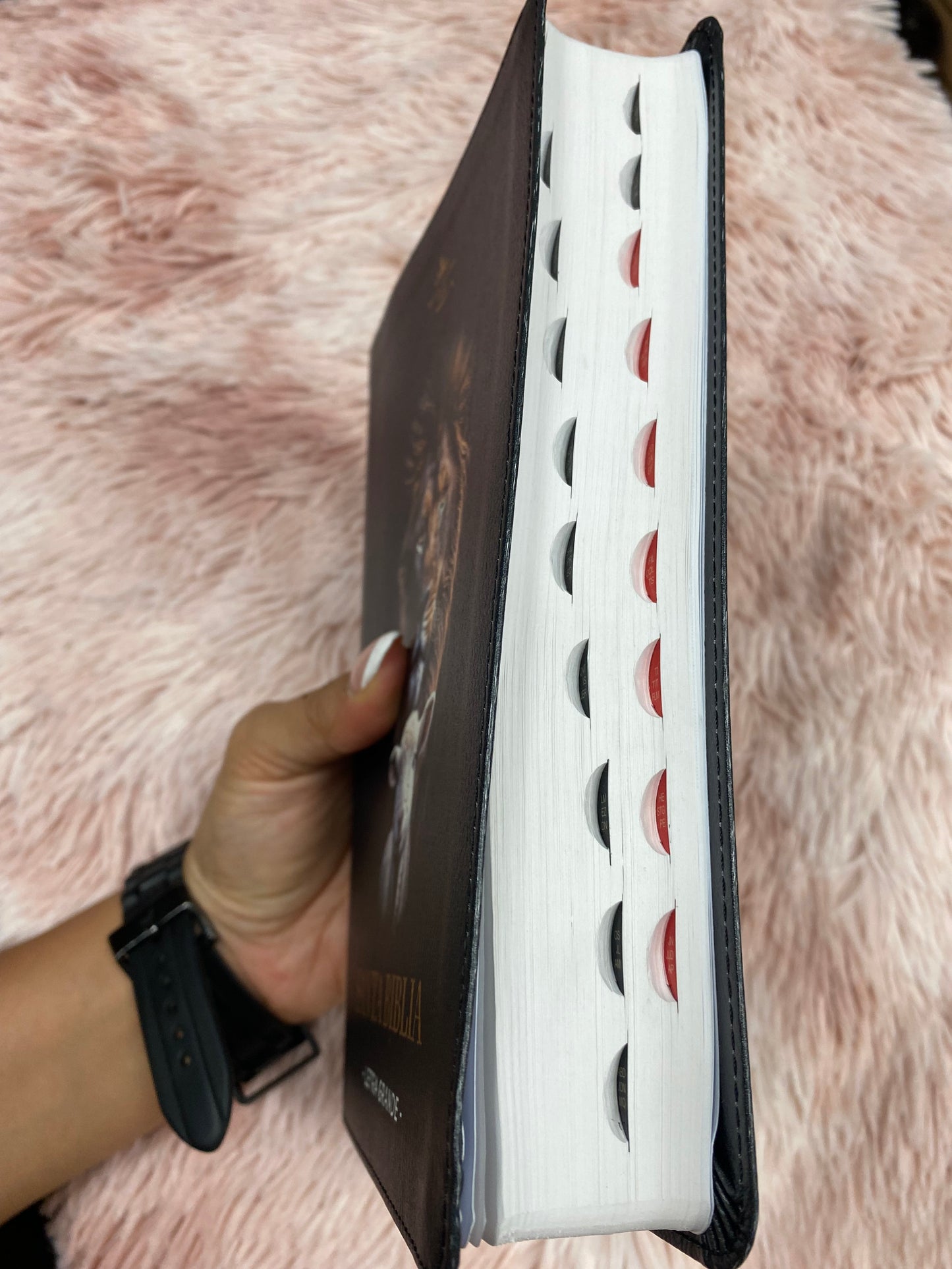 Biblia letra grande 12 puntos tapa flexible versión RV1960 con índice y con concordancia