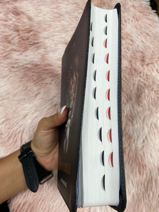 Biblia letra grande 12 puntos tapa flexible versión RV1960 con índice y con concordancia