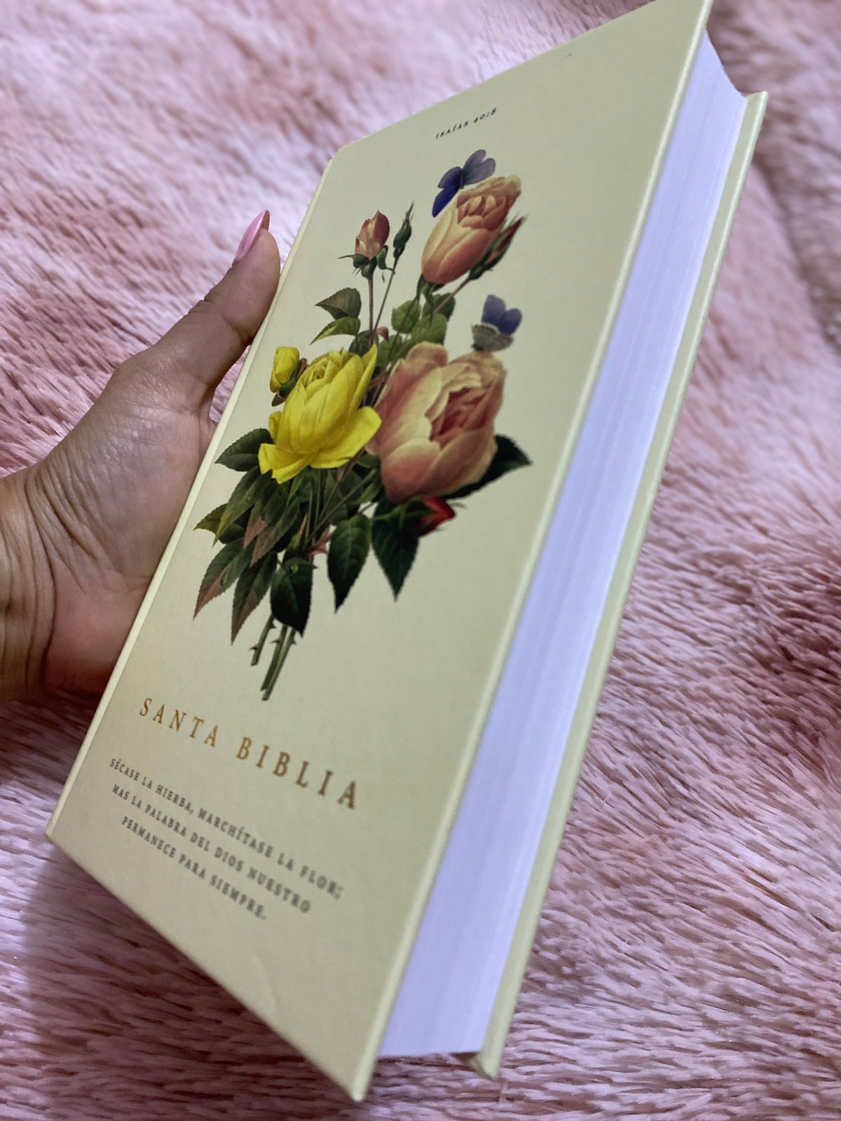 Biblia tapa dura letra grande versión RV1960 con concordancia papel blanco