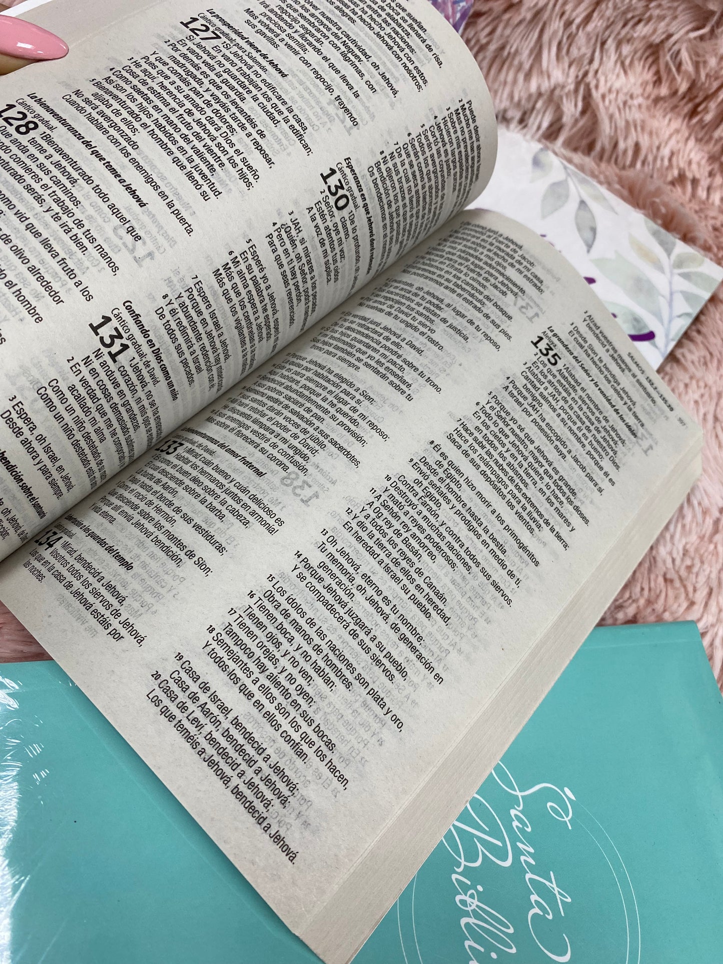 Biblias económicas tapa rústica papel imprenta versión RV1960