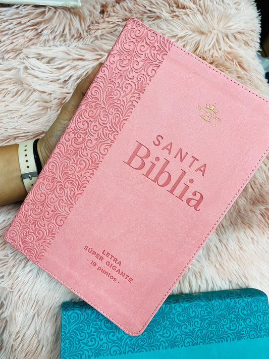 Biblia letra extra gigante 19 puntos con canto plateado e índice símil piel y concordancia