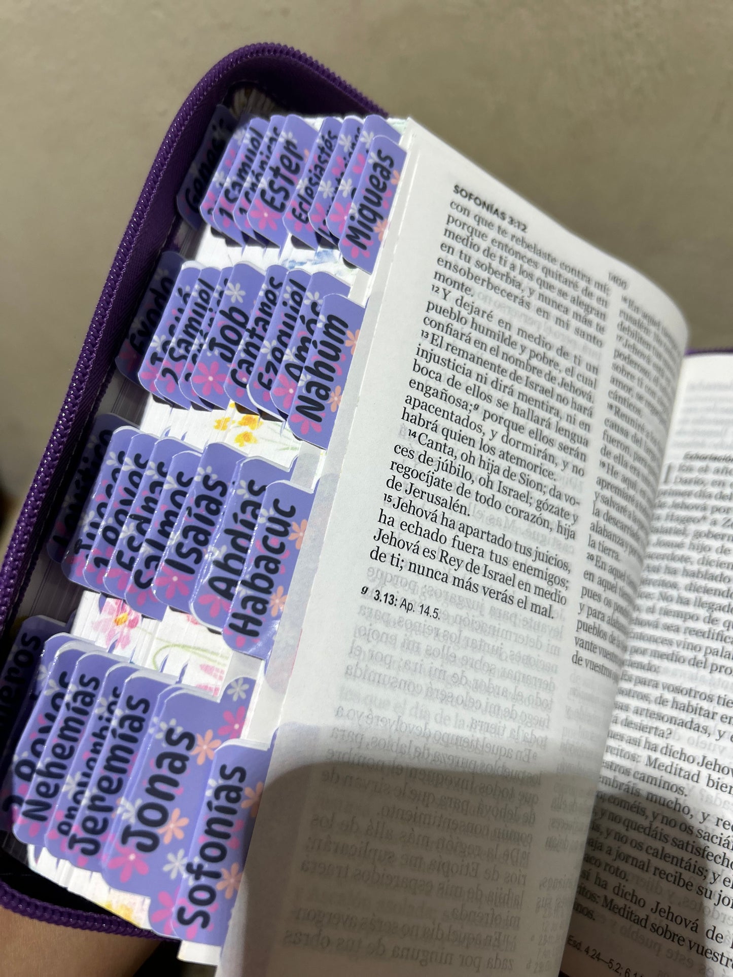 Biblia RV1960 letra grande 11 puntos con cierre + personalizado