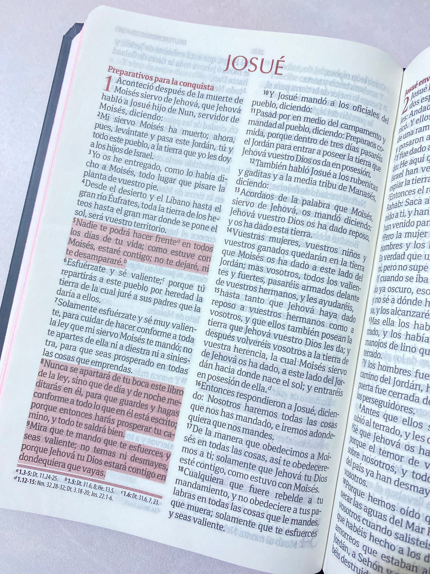Biblia de promesas tapa dura versión RV1960 letra 8 puntos con concordancia y referencias