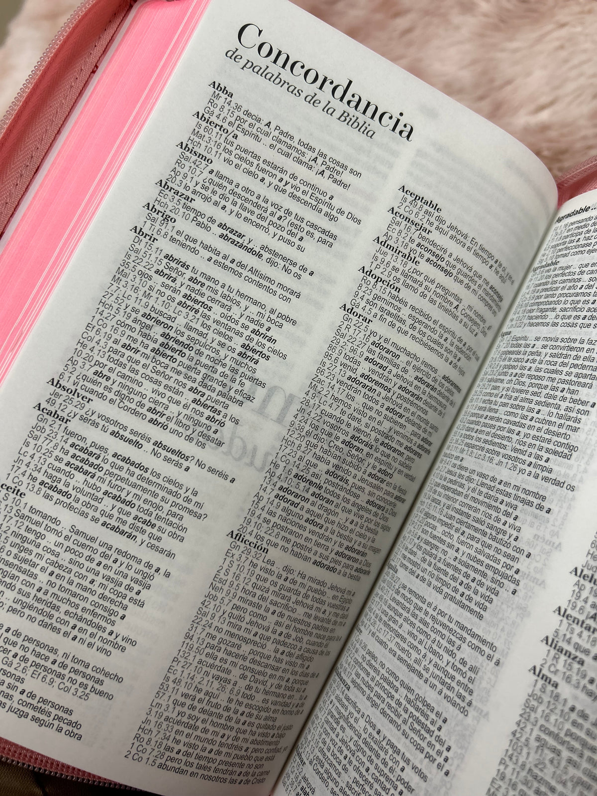Biblia de letra grande 11,5 puntos con cierre en símil piel canto pintado palabras de Jesús en rojo y concordancia