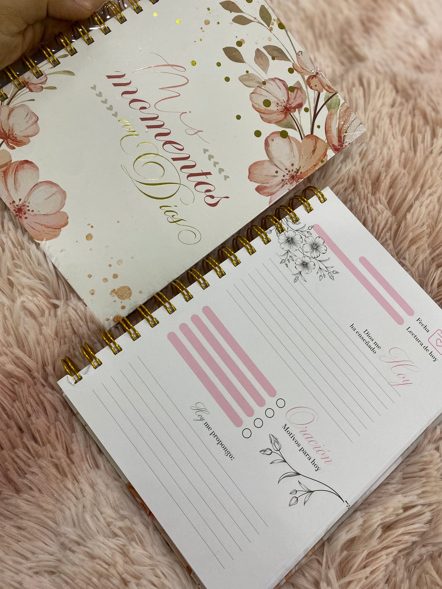 Diario devocional; mis momentos con Dios con espiral tapa dura