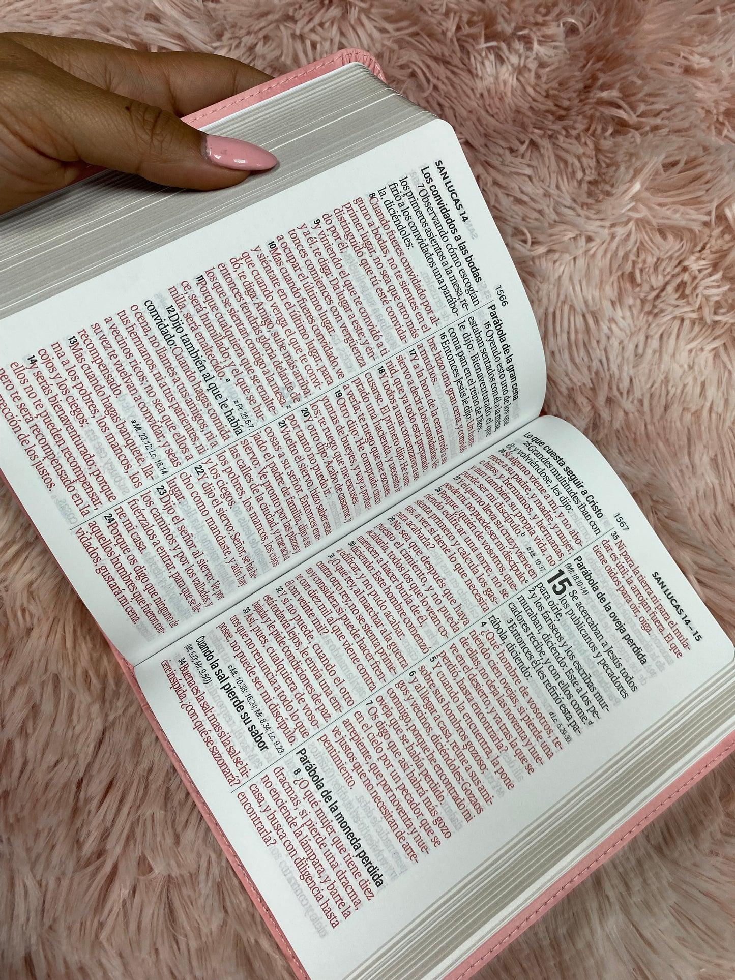 Biblia pequeña de letras grandes 12 puntos versión RV1960 canto dorado tapa flexible simil piel con concordancia