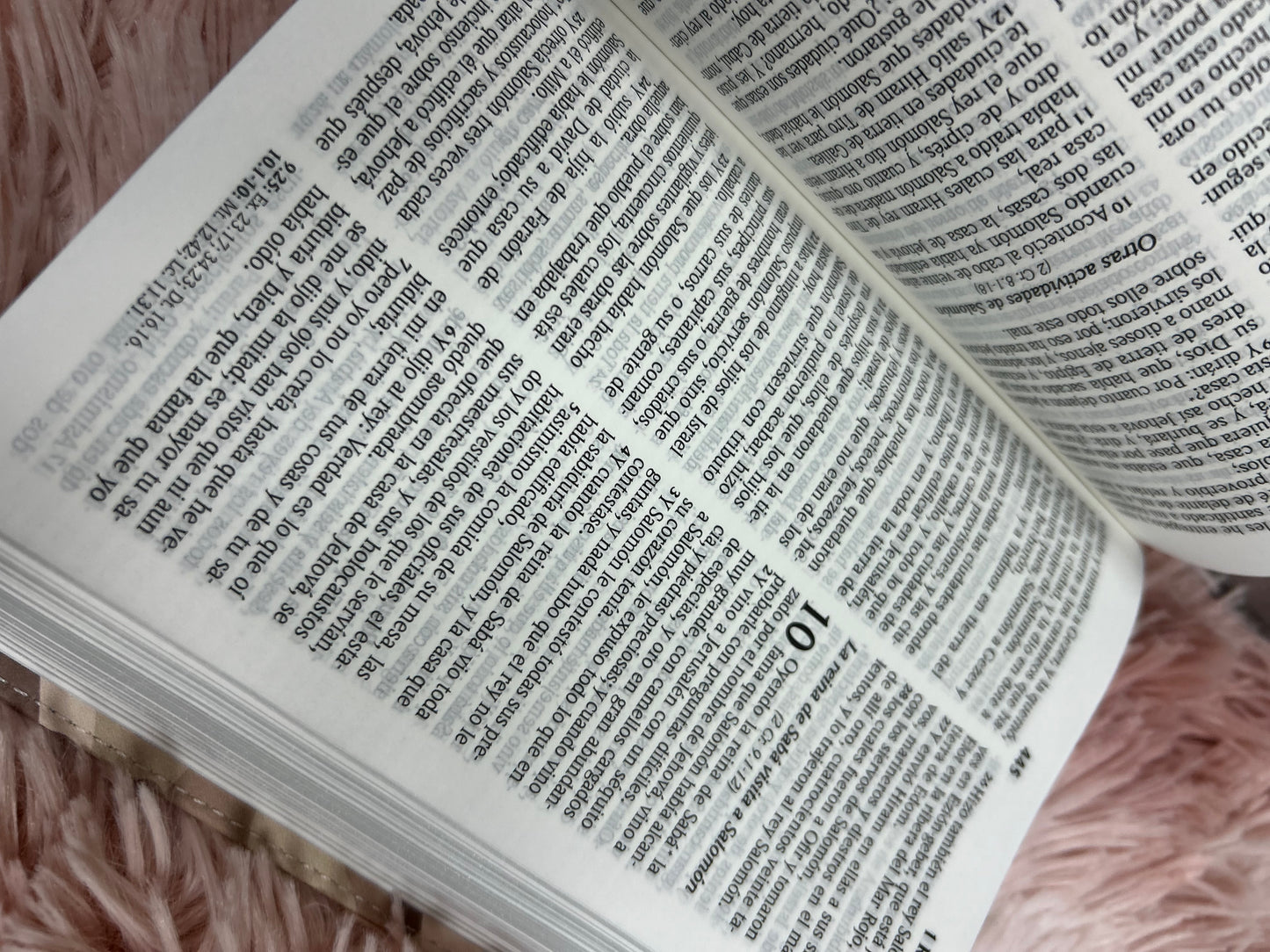 Biblia letra grande 10 puntos versión RV1960 tamaño compacta camuflada beige palabras de Jesús en rojo