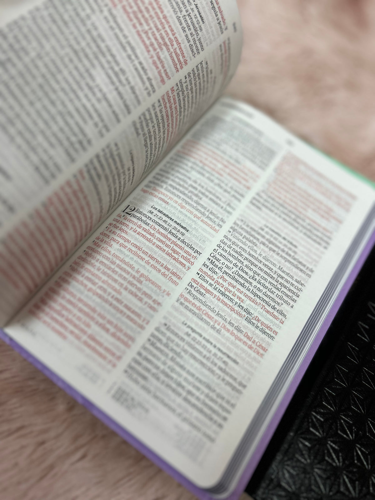 Biblia de letra grande 11,5 puntos en símil piel canto pintado palabras de Jesús en rojo y concordancia