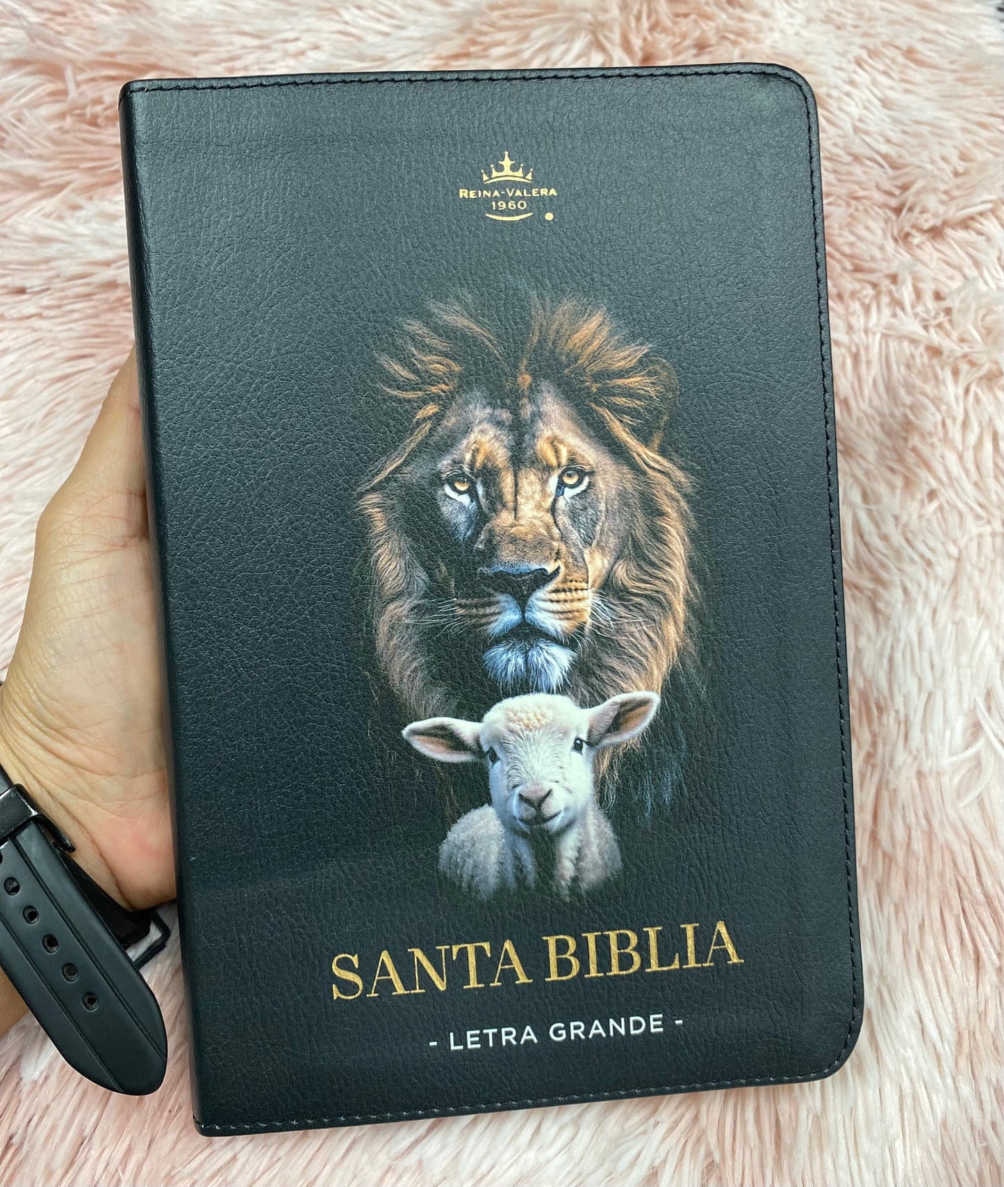 Biblia letra grande 12 puntos tapa flexible versión RV1960 con índice y con concordancia