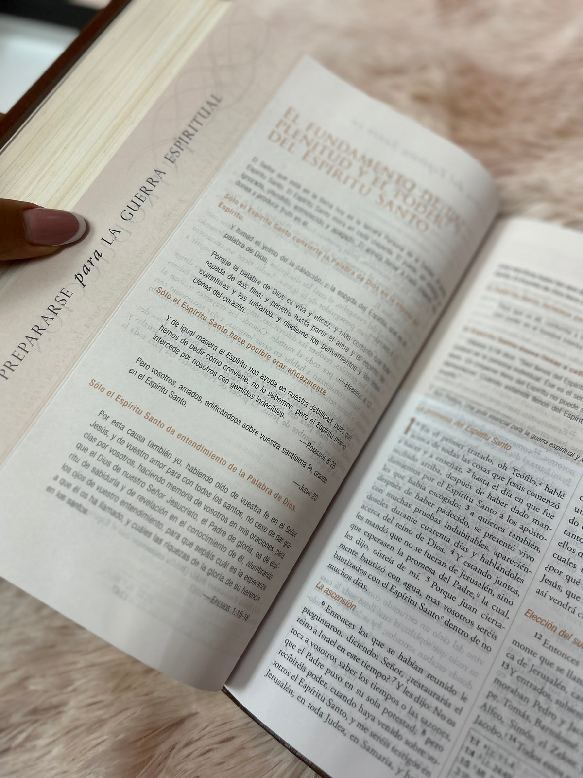 Biblia de estudio para la guerra espiritual en imitación piel de lujo canto dorado versión RV1960