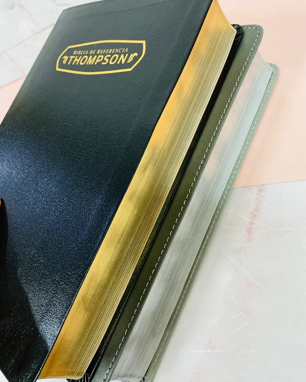 Biblia de estudio Thompson de referencias canto dorado en símil piel